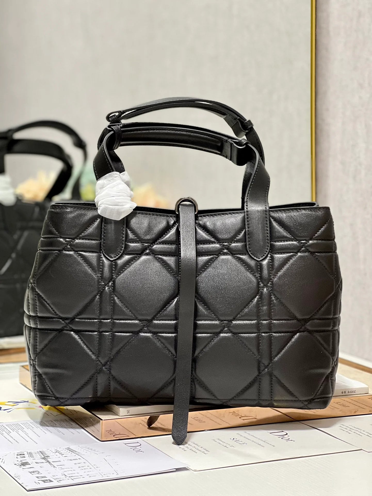 DIOR THE LADY 95 22 BAG