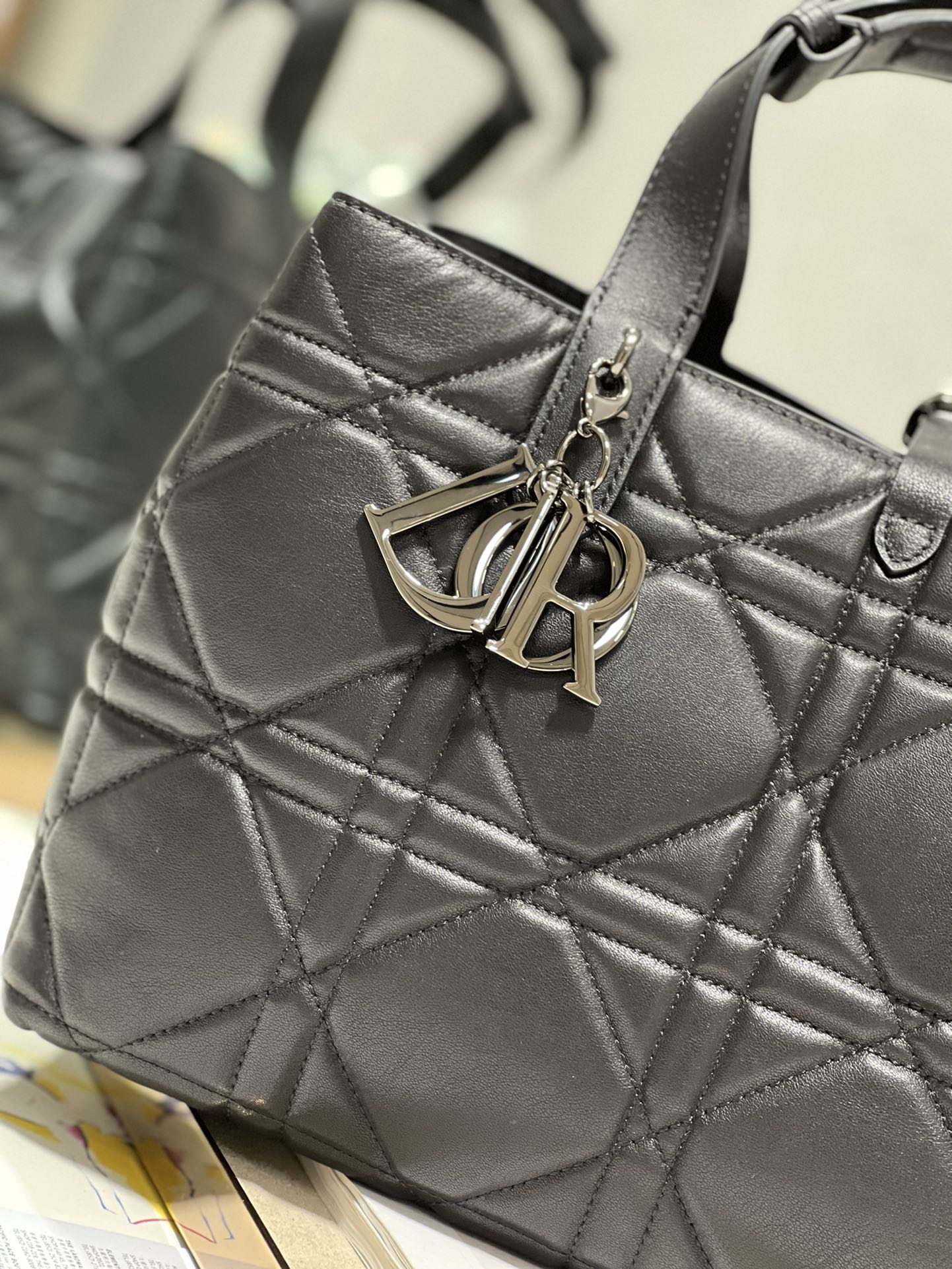 DIOR THE LADY 95 22 BAG