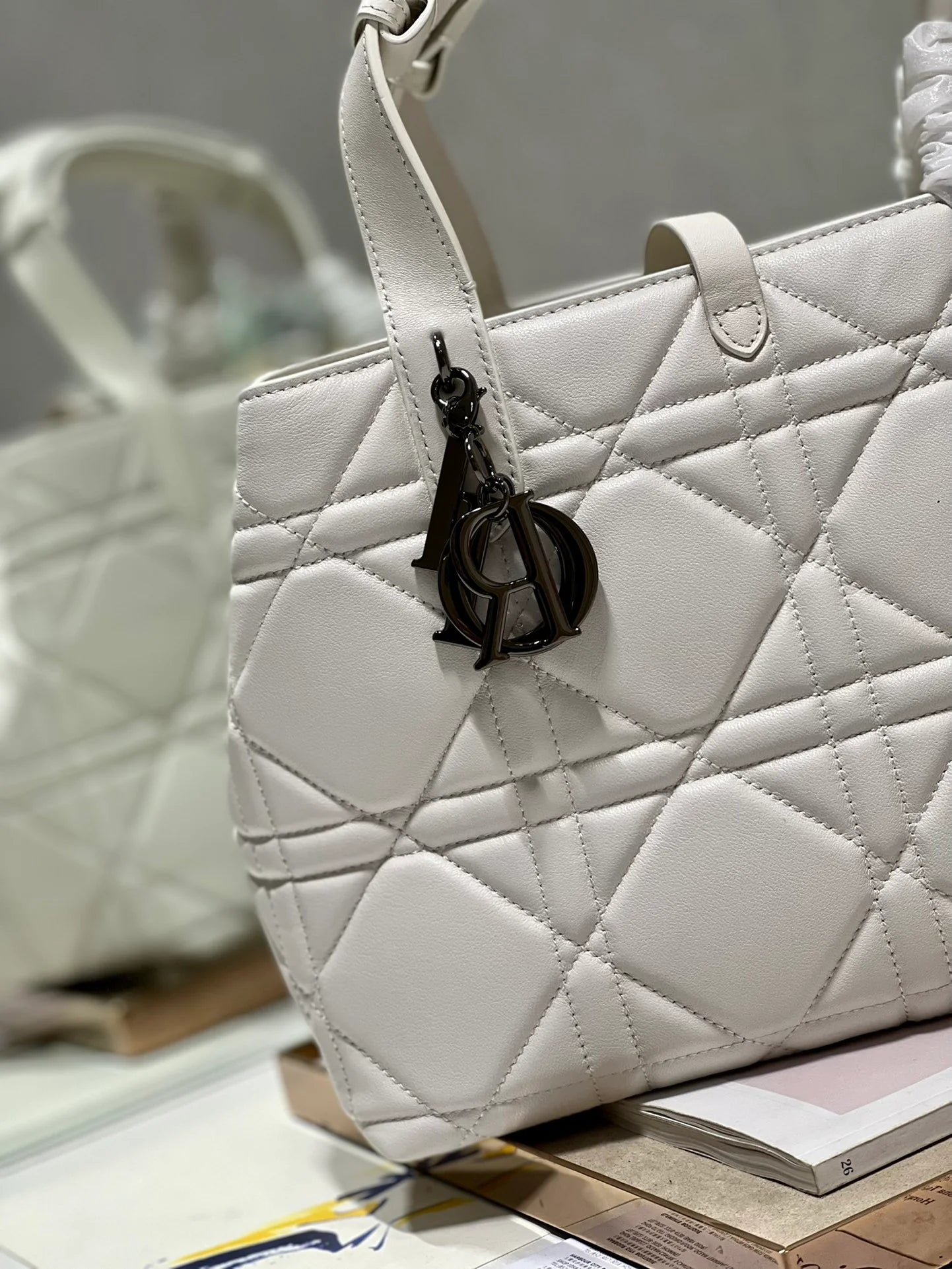 DIOR THE LADY 95 22 BAG