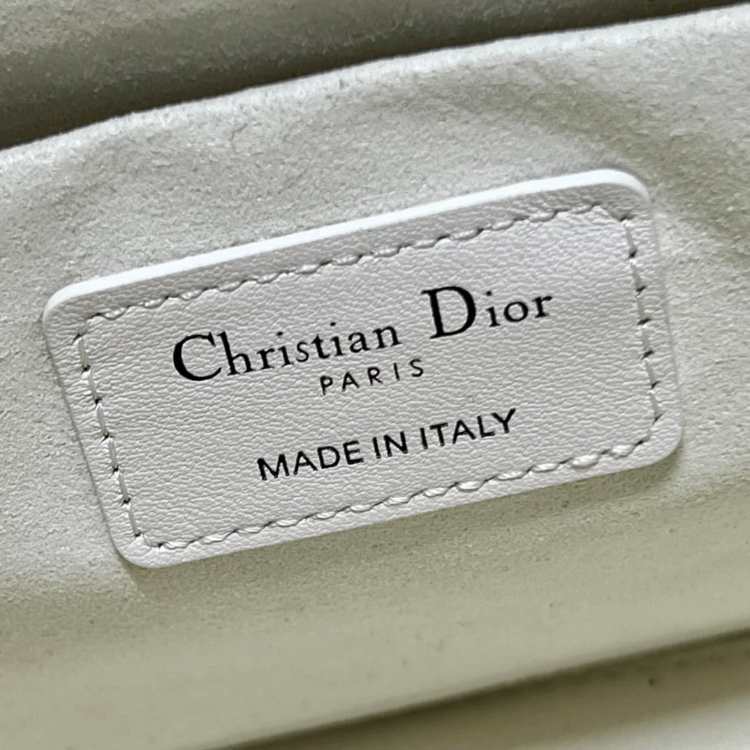 DIOR THE LADY 95 22 BAG