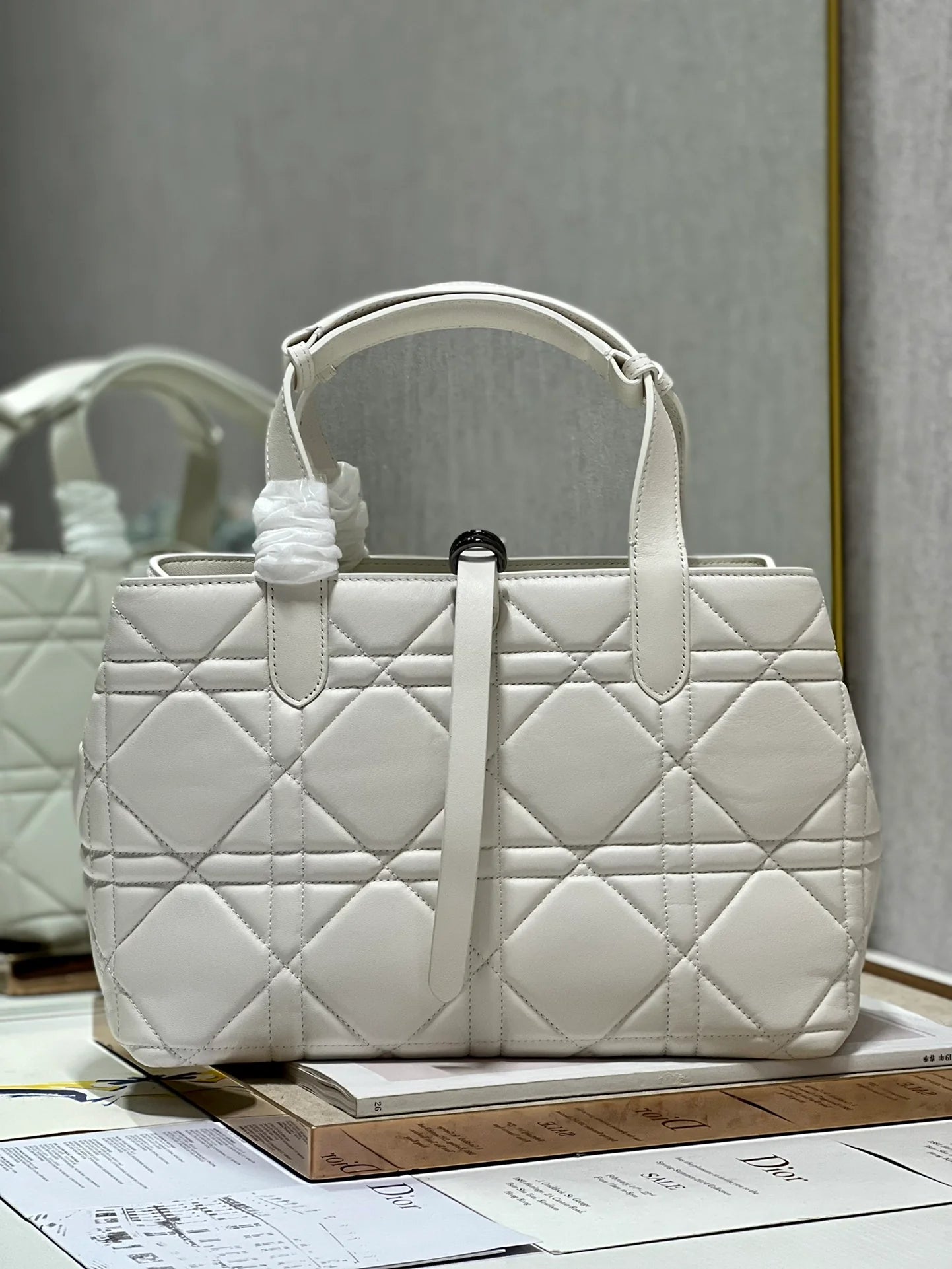 DIOR THE LADY 95 22 BAG
