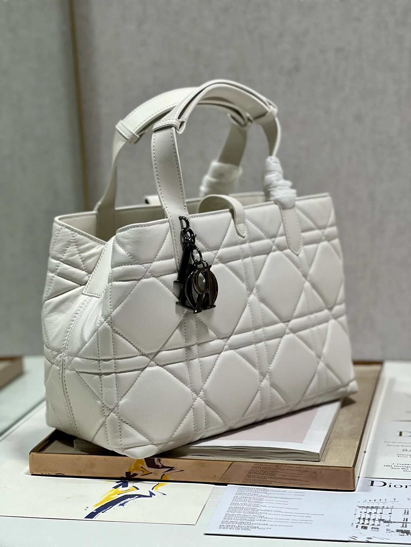 DIOR THE LADY 95 22 BAG