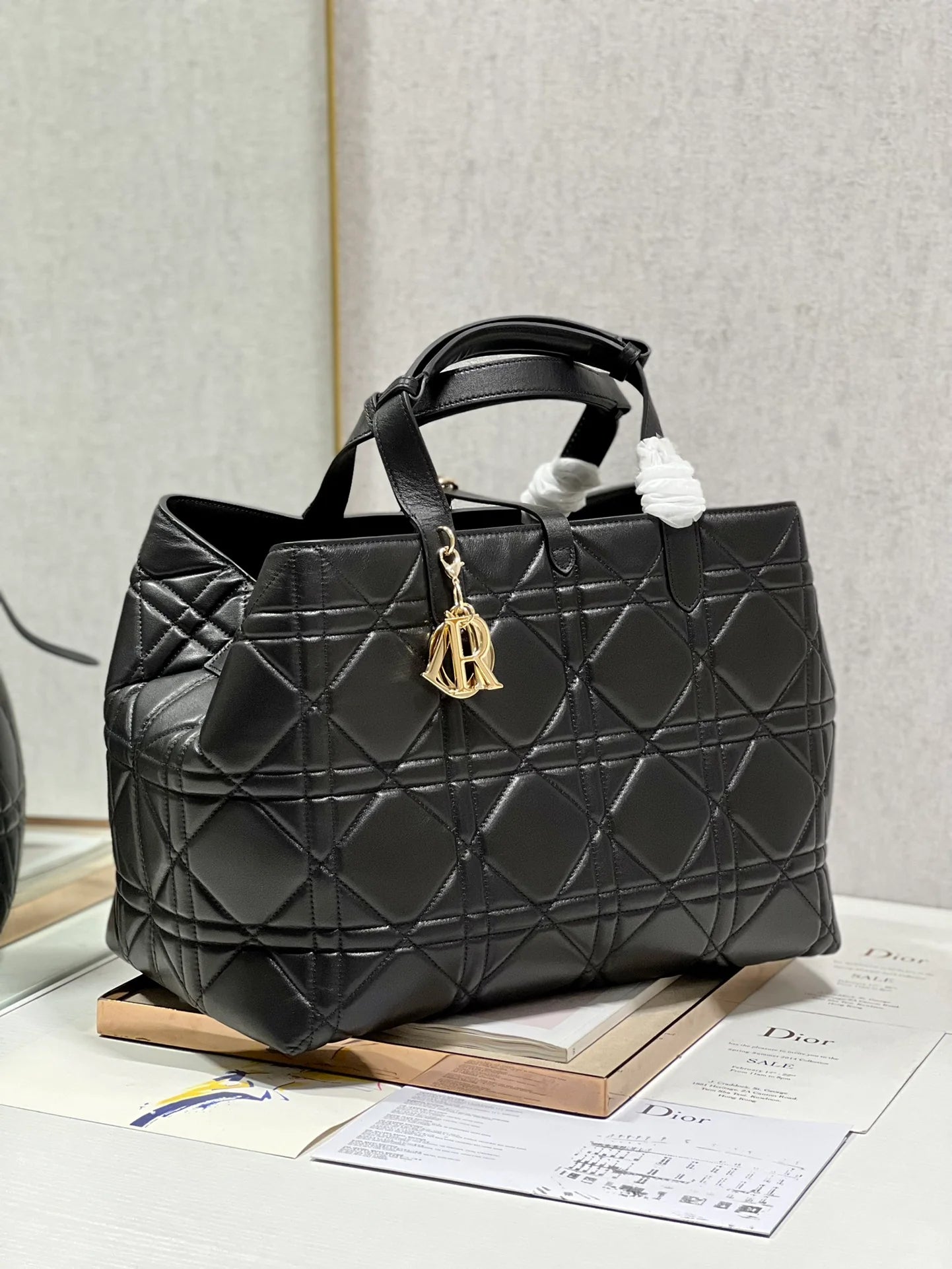 DIOR THE LADY 95 22 BAG