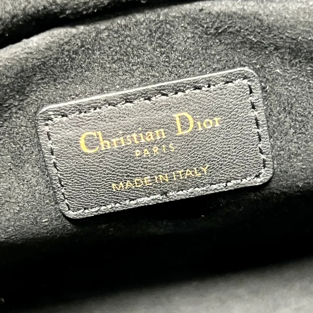 DIOR THE LADY 95 22 BAG