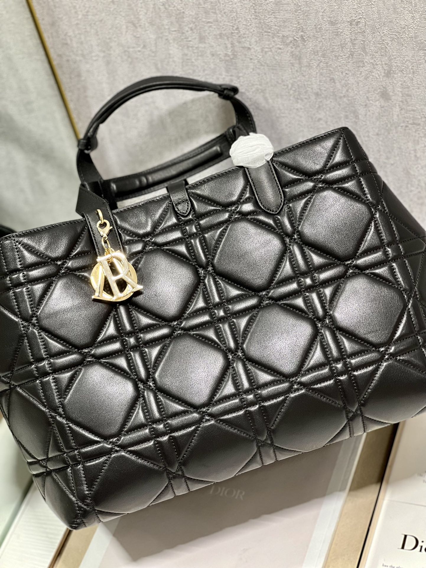 DIOR THE LADY 95 22 BAG