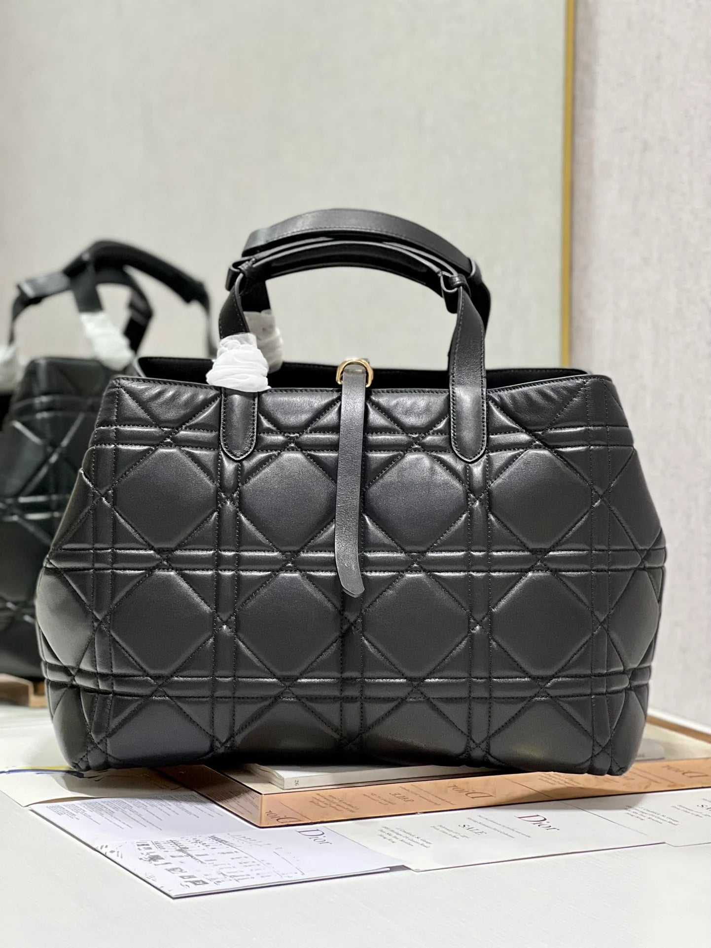 DIOR THE LADY 95 22 BAG