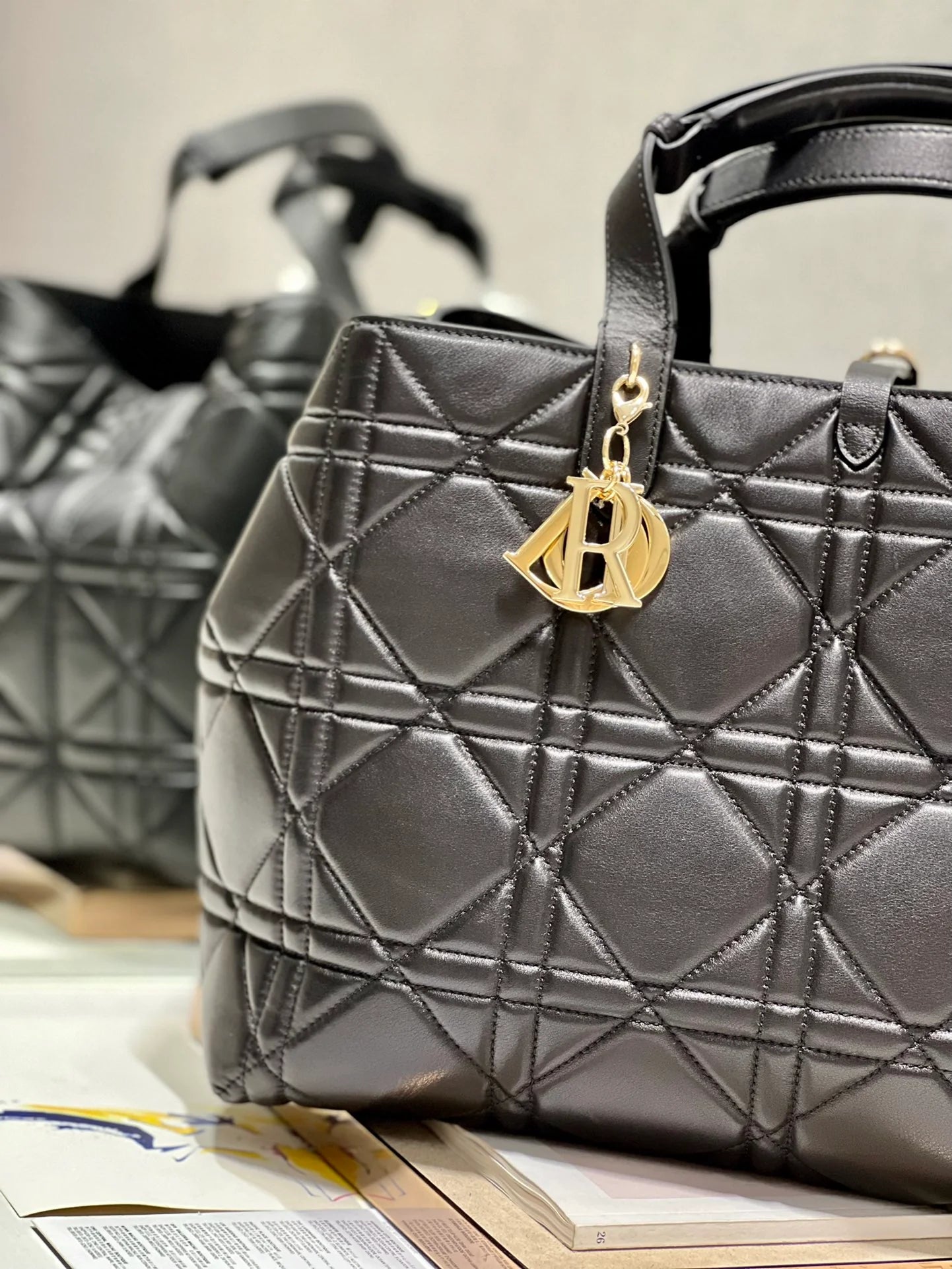 DIOR THE LADY 95 22 BAG