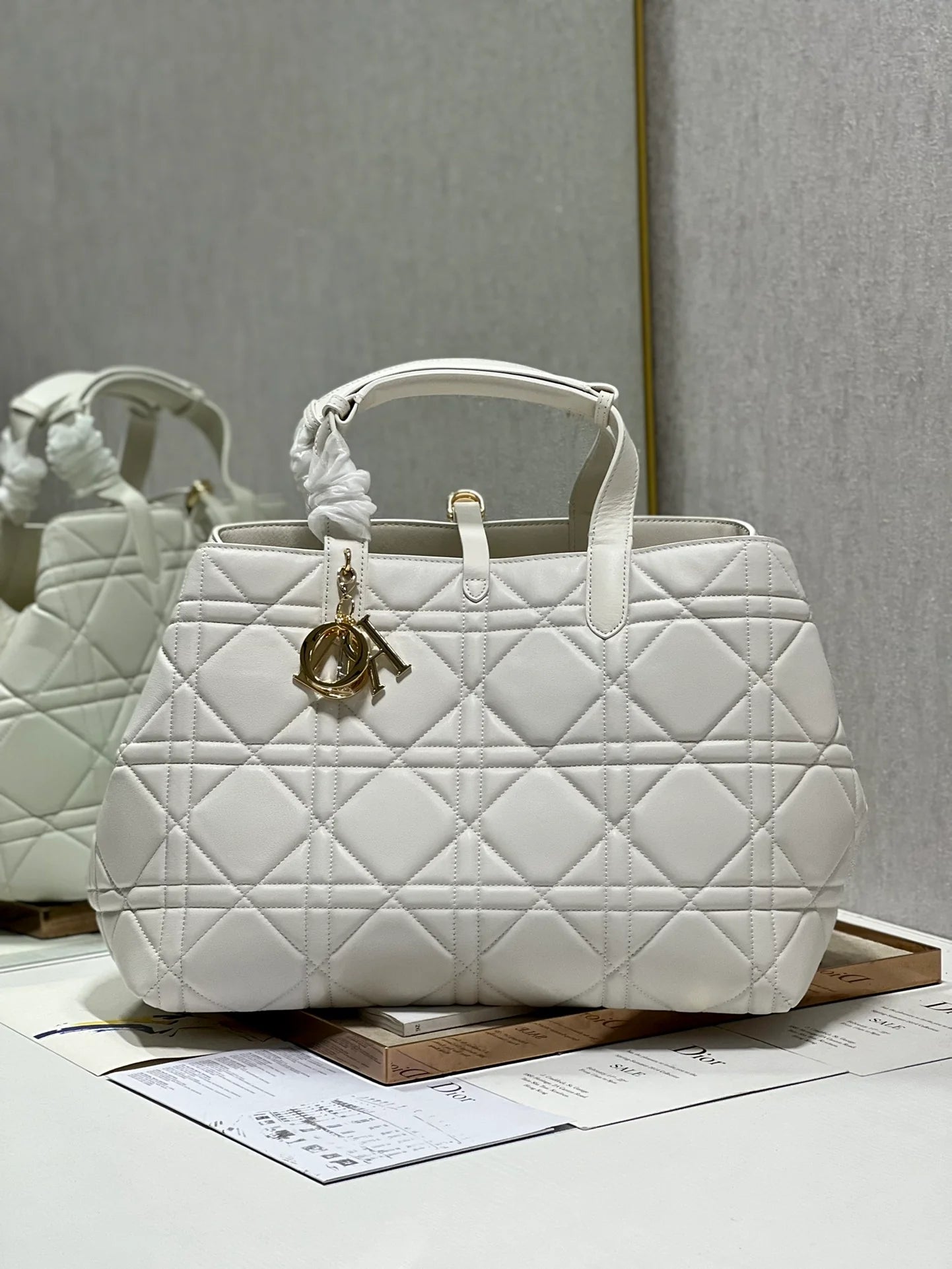 DIOR THE LADY 95 22 BAG