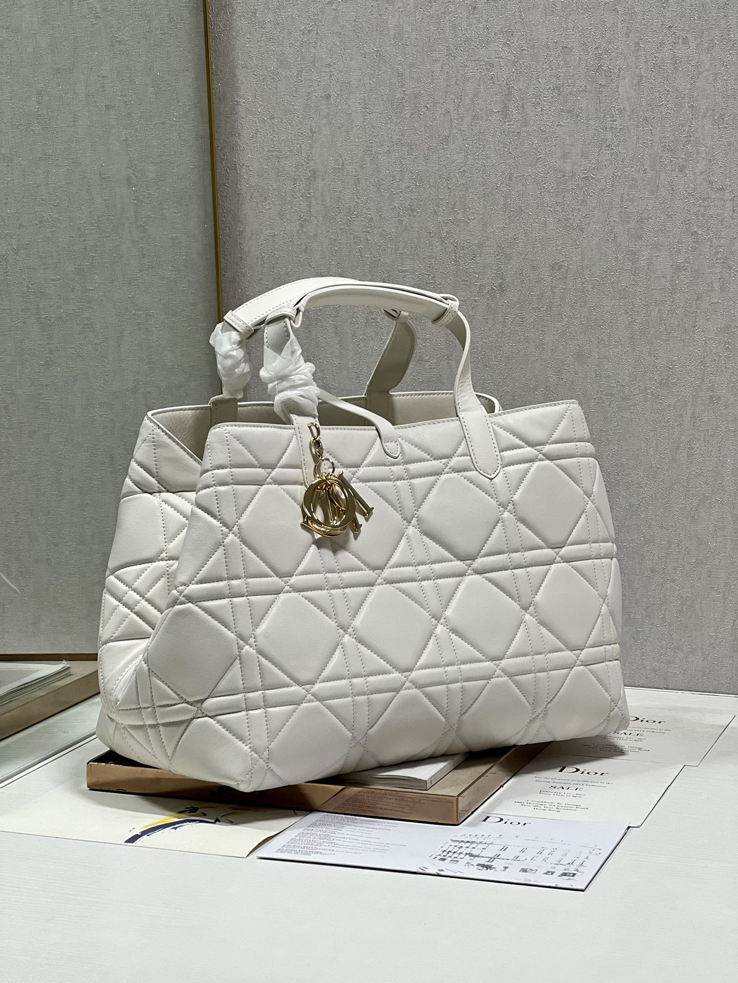 DIOR THE LADY 95 22 BAG