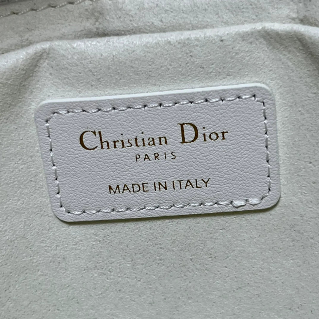 DIOR THE LADY 95 22 BAG