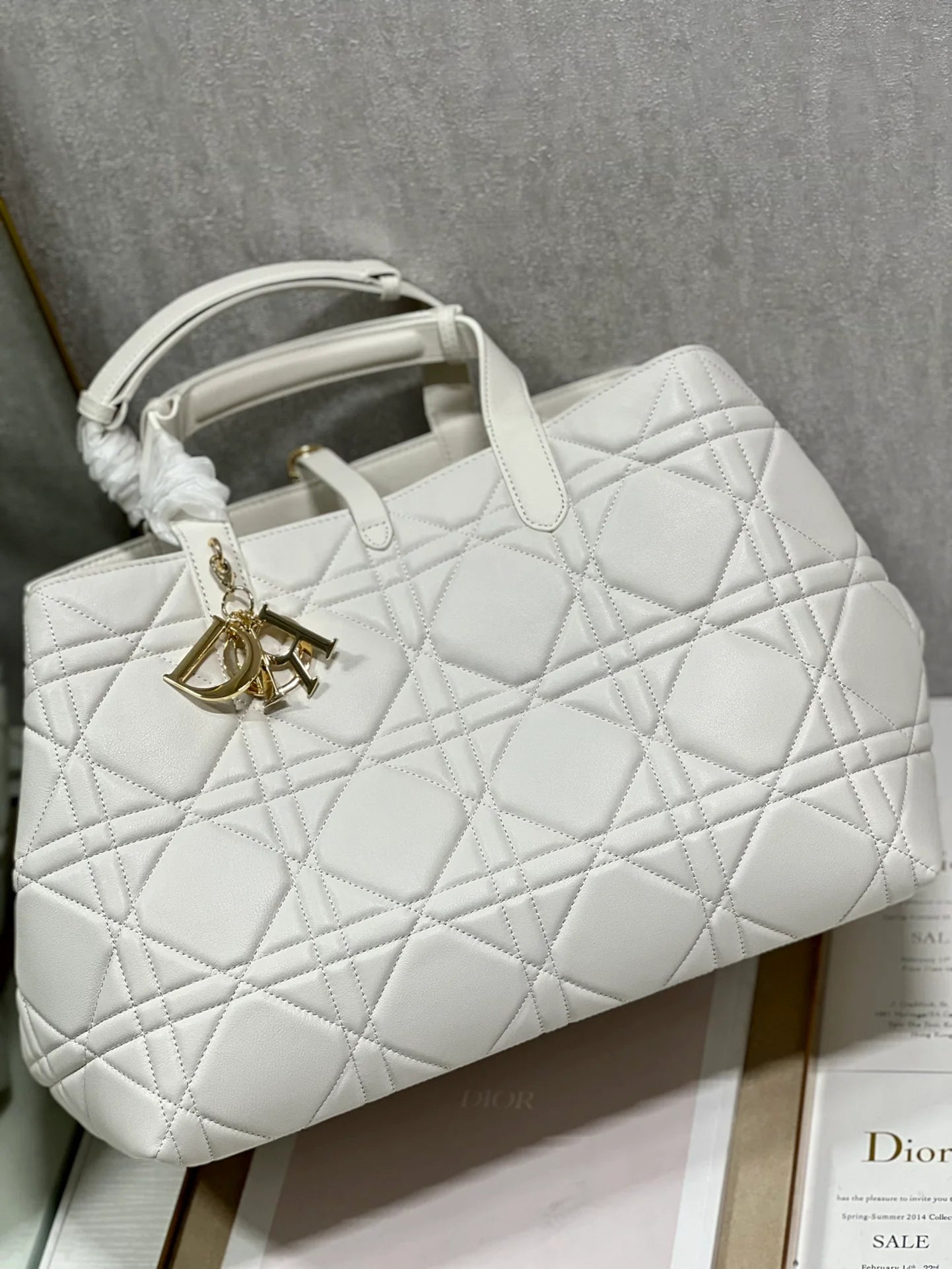 DIOR THE LADY 95 22 BAG