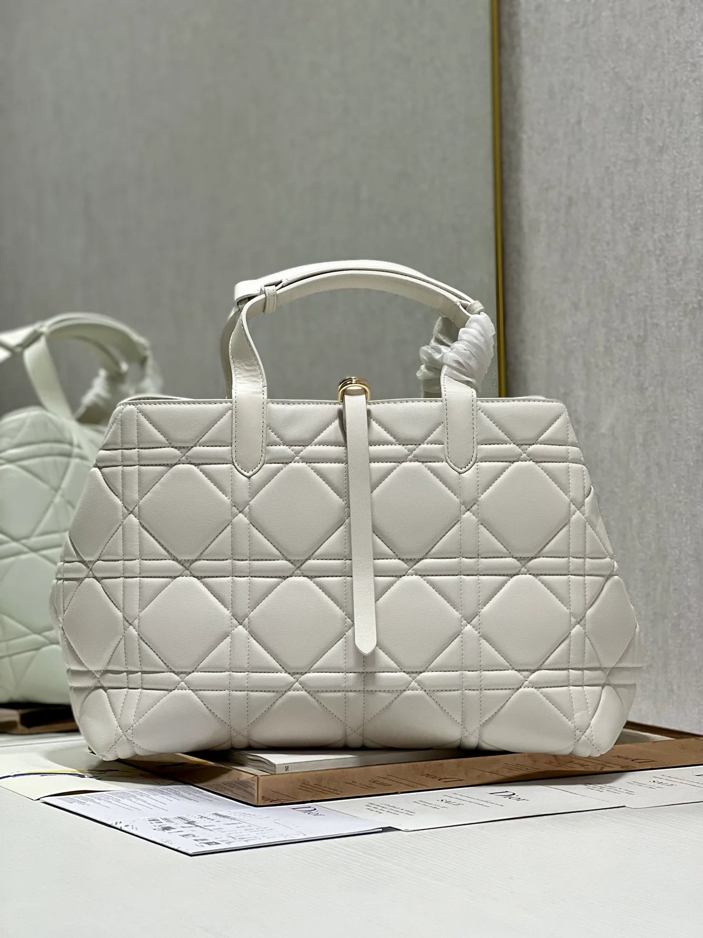 DIOR THE LADY 95 22 BAG