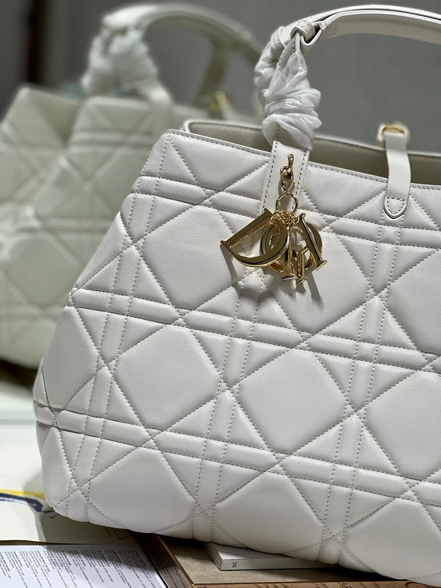 DIOR THE LADY 95 22 BAG