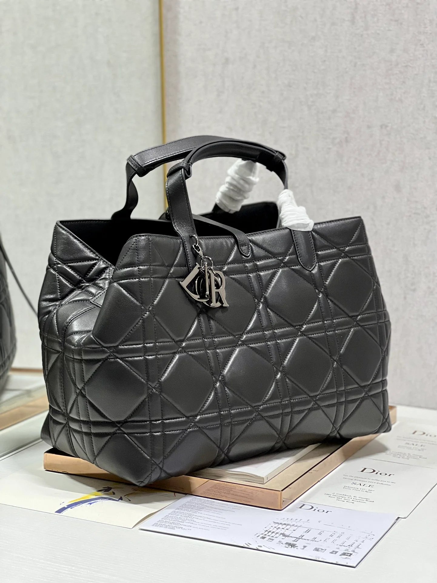 DIOR THE LADY 95 22 BAG
