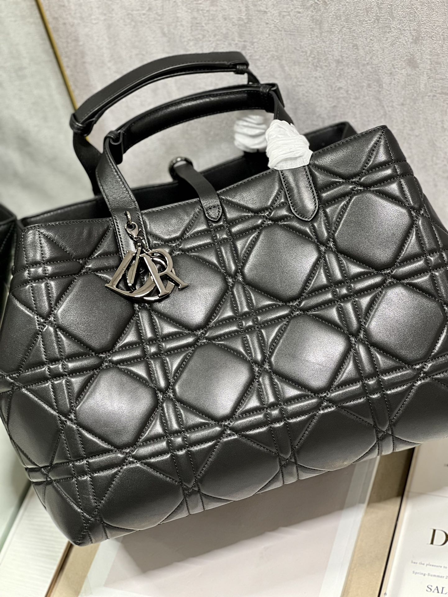 DIOR THE LADY 95 22 BAG