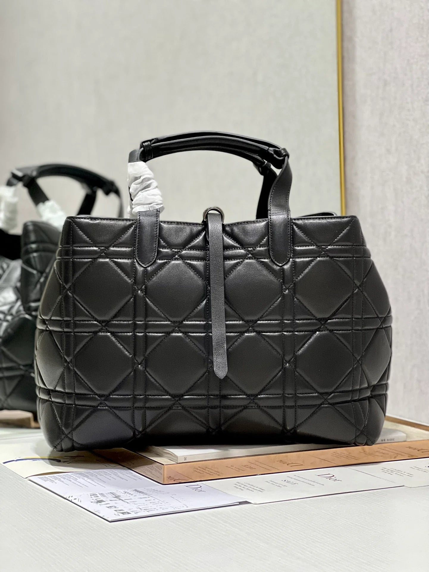 DIOR THE LADY 95 22 BAG