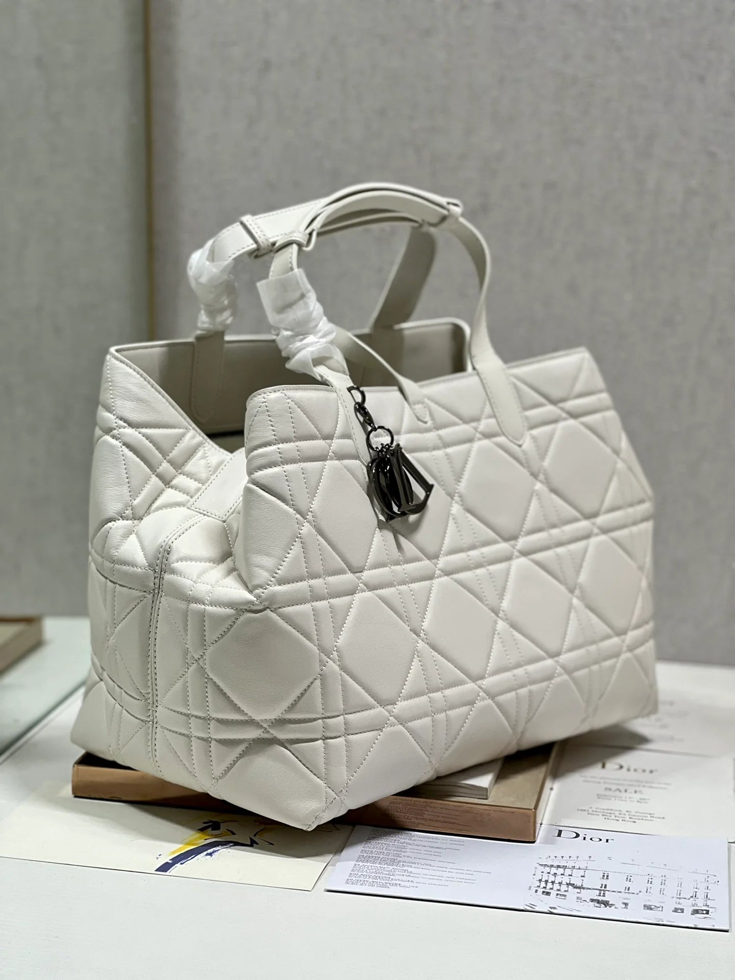 DIOR THE LADY 95 22 BAG