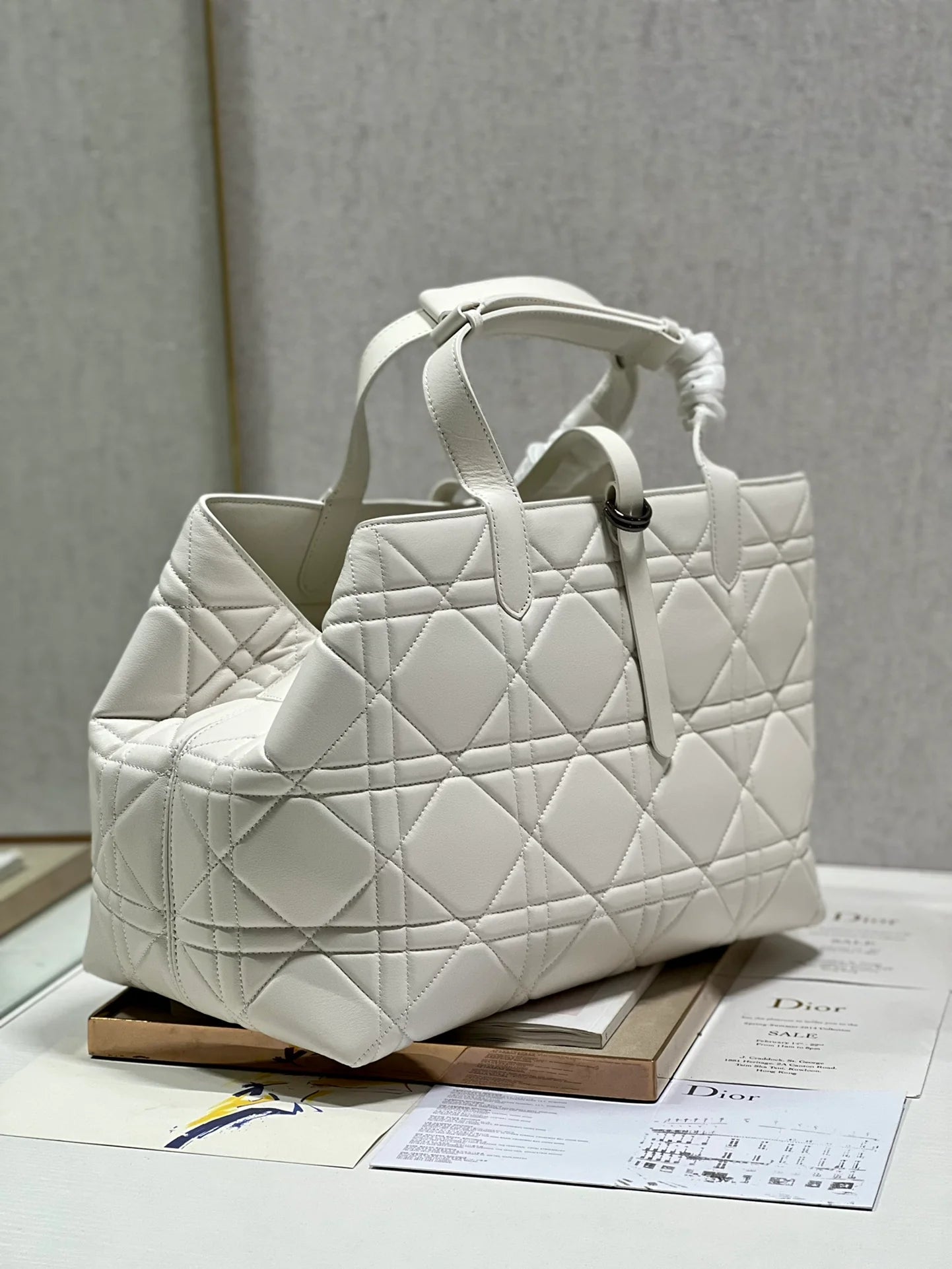 DIOR THE LADY 95 22 BAG