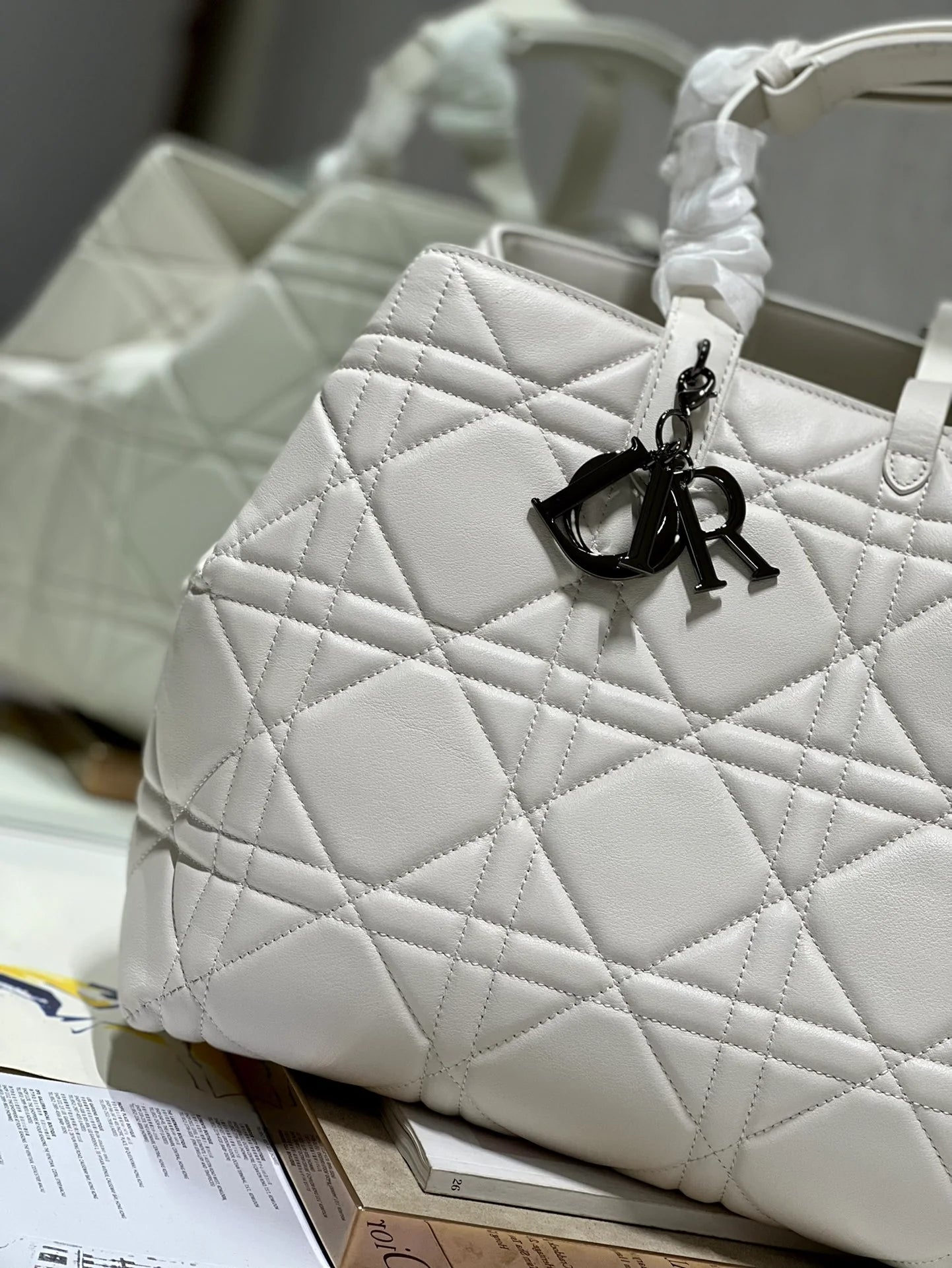 DIOR THE LADY 95 22 BAG