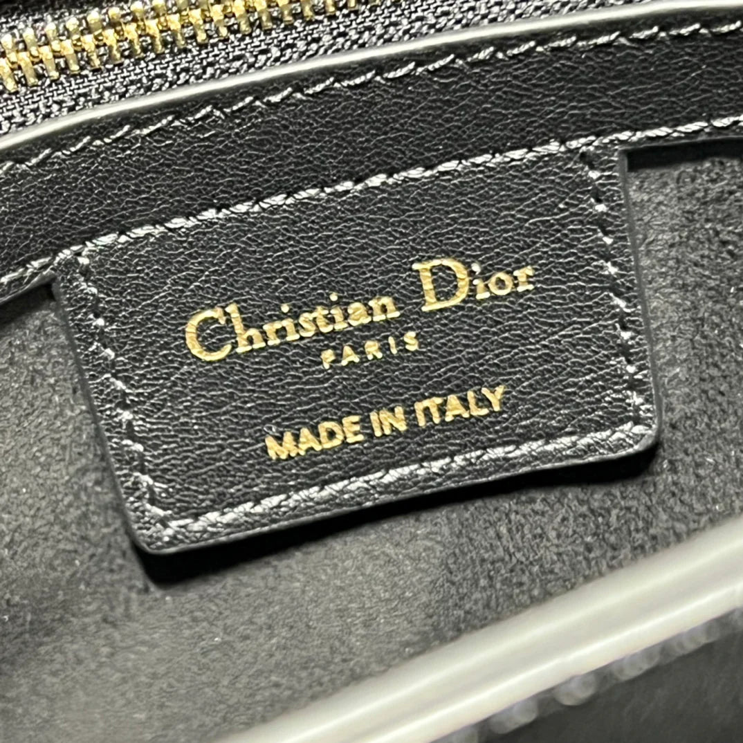 DIOR THE LADY 95 22 BAG