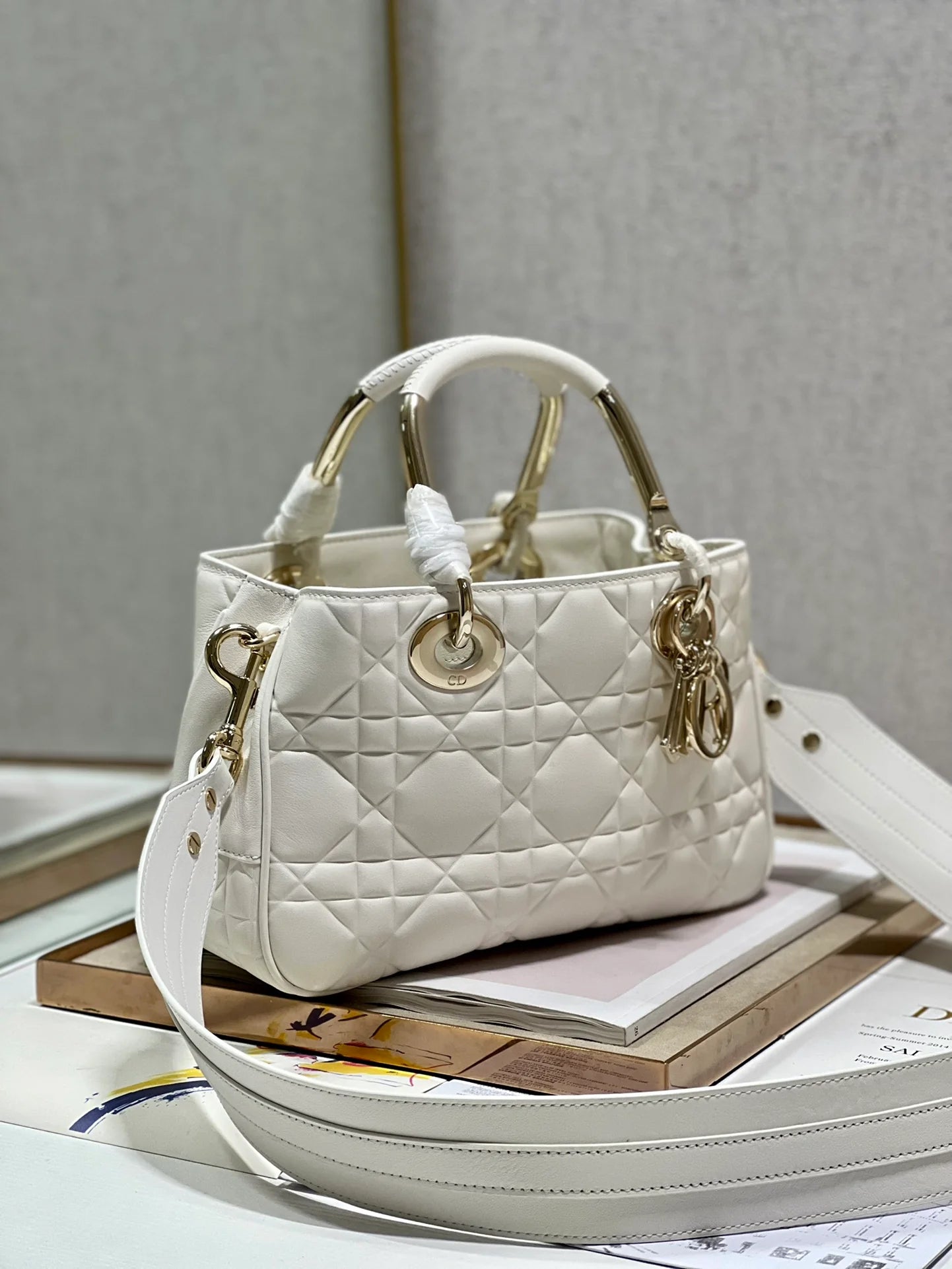 DIOR THE LADY 95 22 BAG