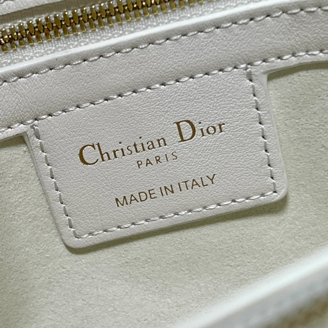 DIOR THE LADY 95 22 BAG