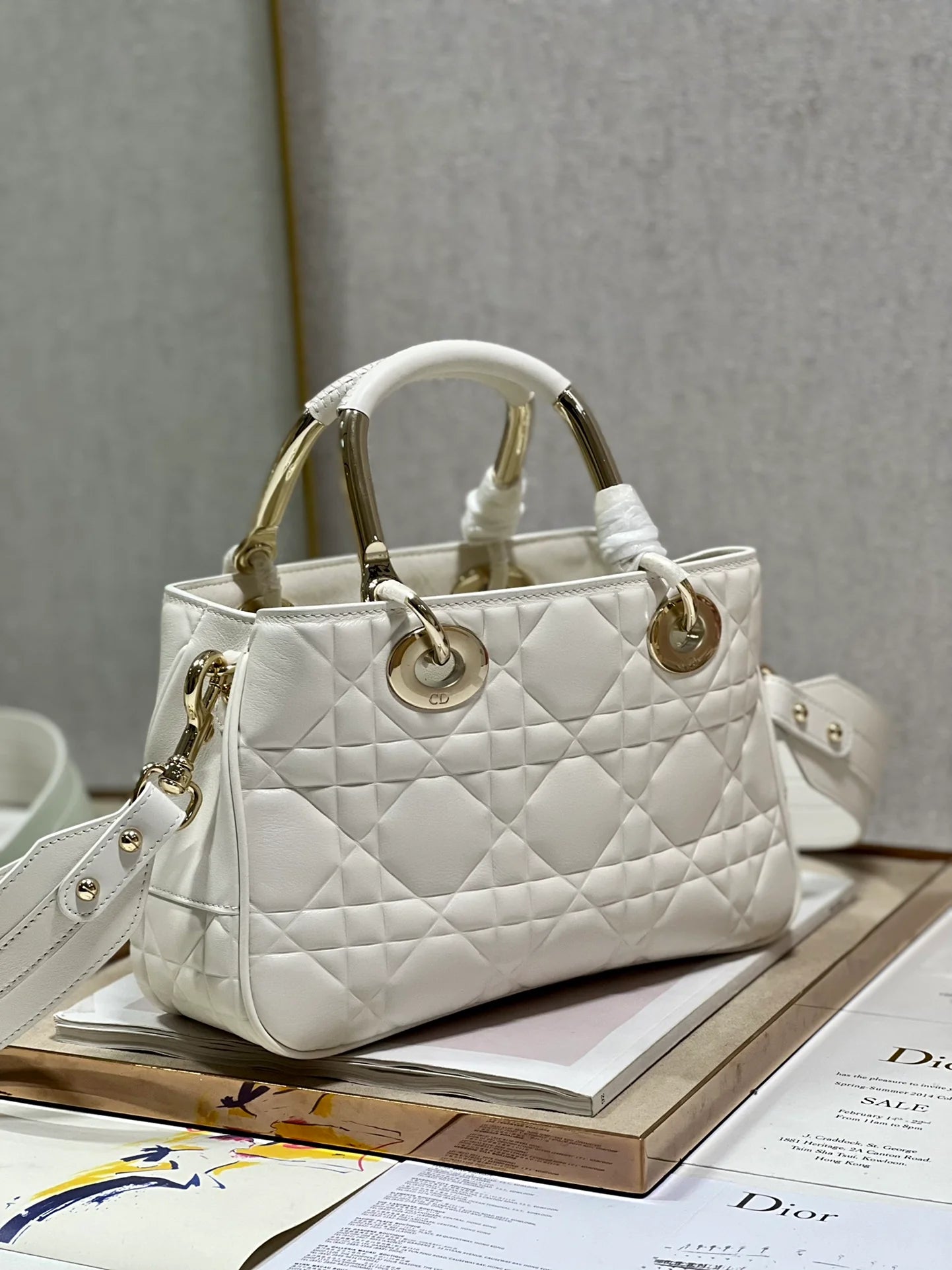 DIOR THE LADY 95 22 BAG