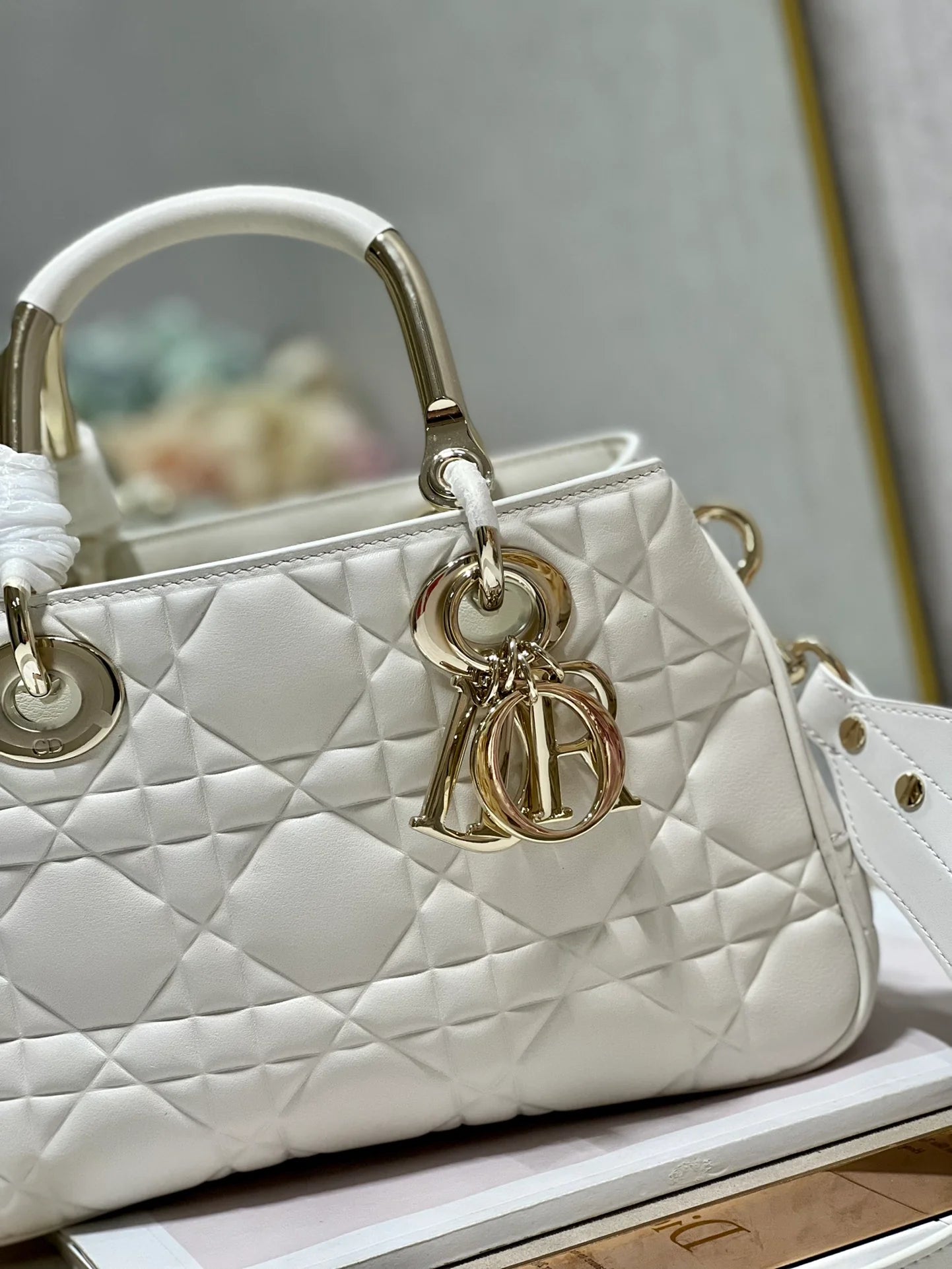 DIOR THE LADY 95 22 BAG
