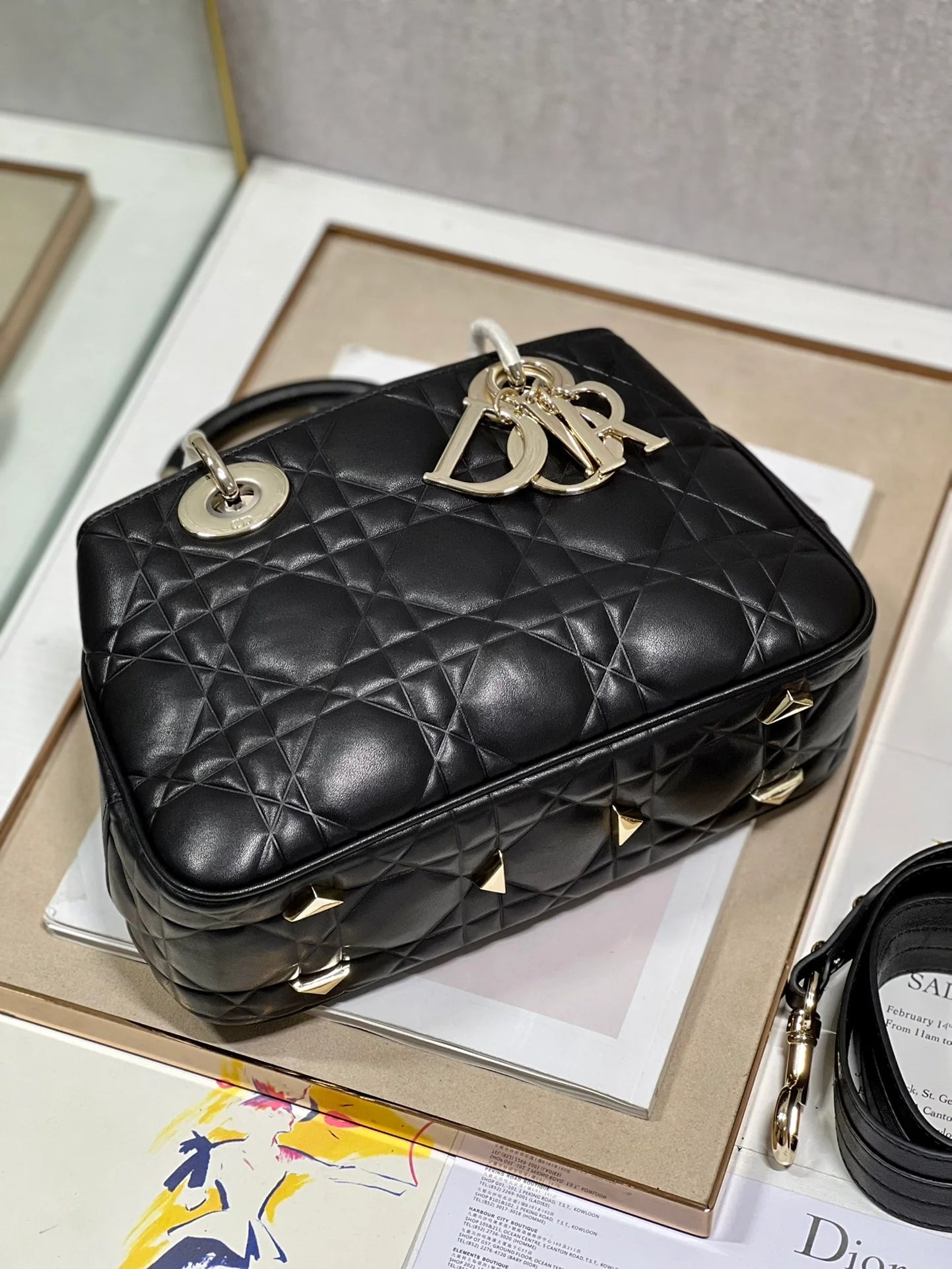 DIOR THE LADY 95 22 BAG