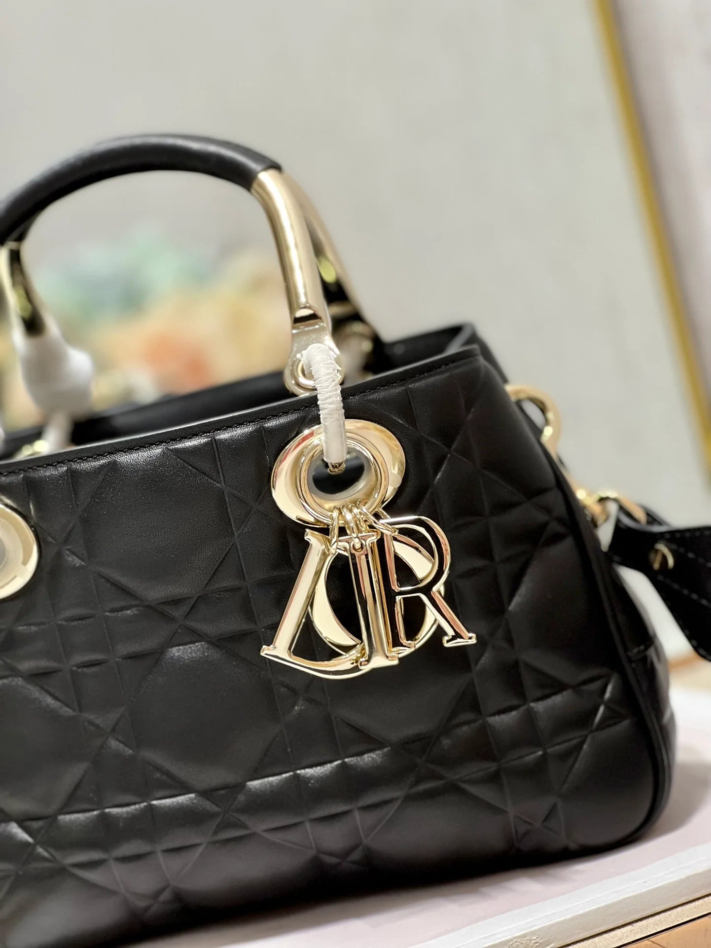 DIOR THE LADY 95 22 BAG