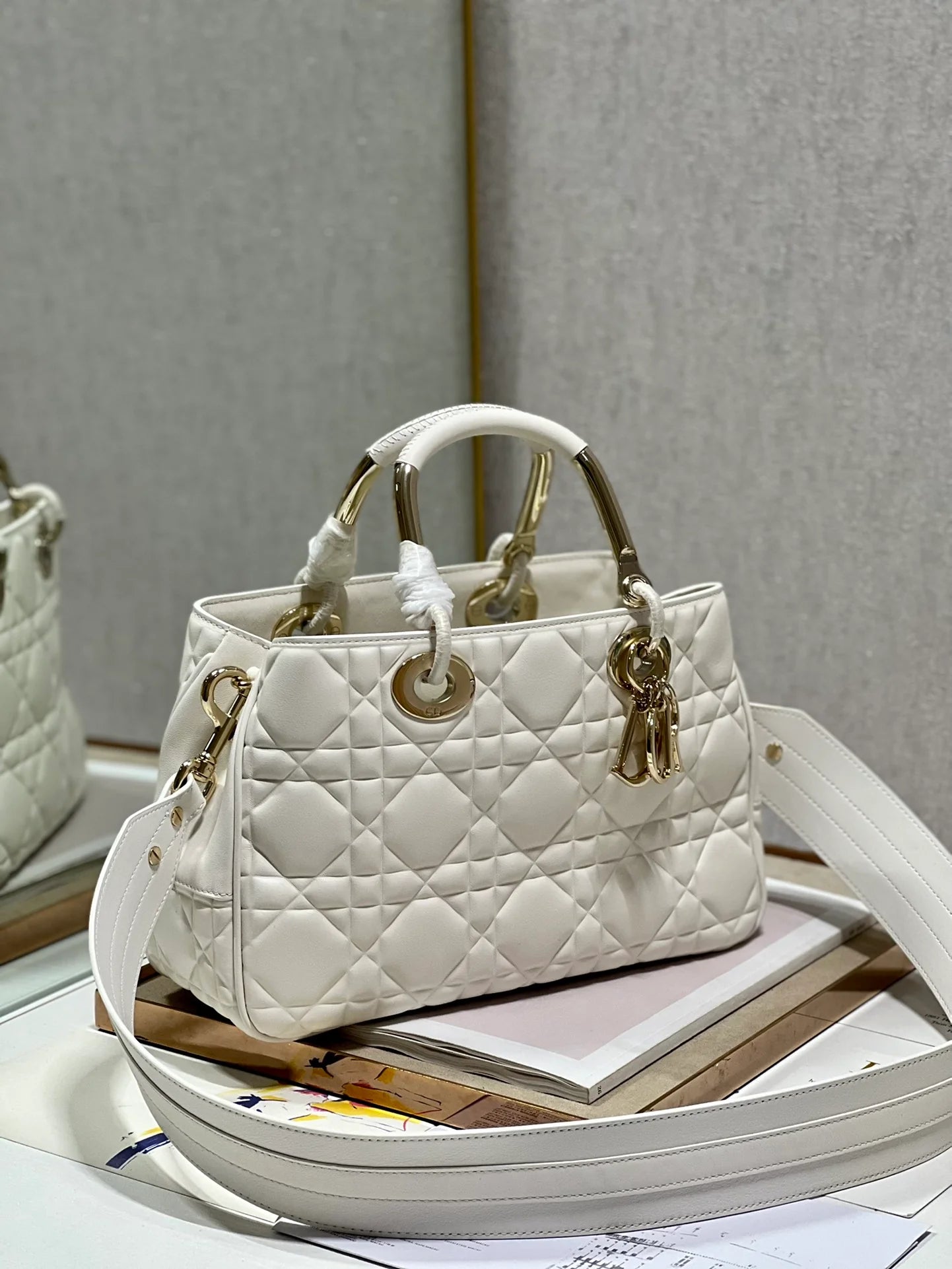 DIOR THE LADY 95 22 BAG
