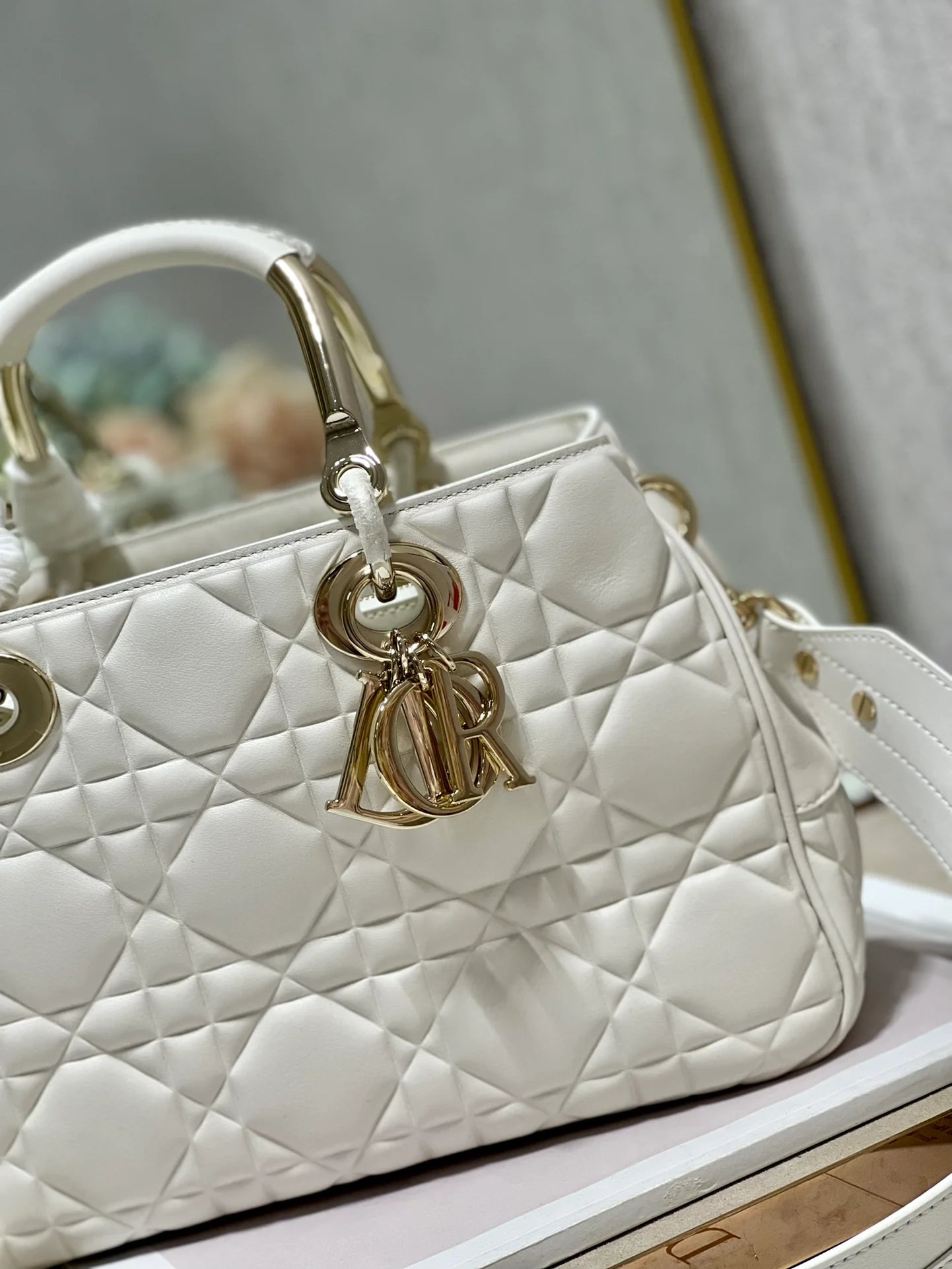 DIOR THE LADY 95 22 BAG