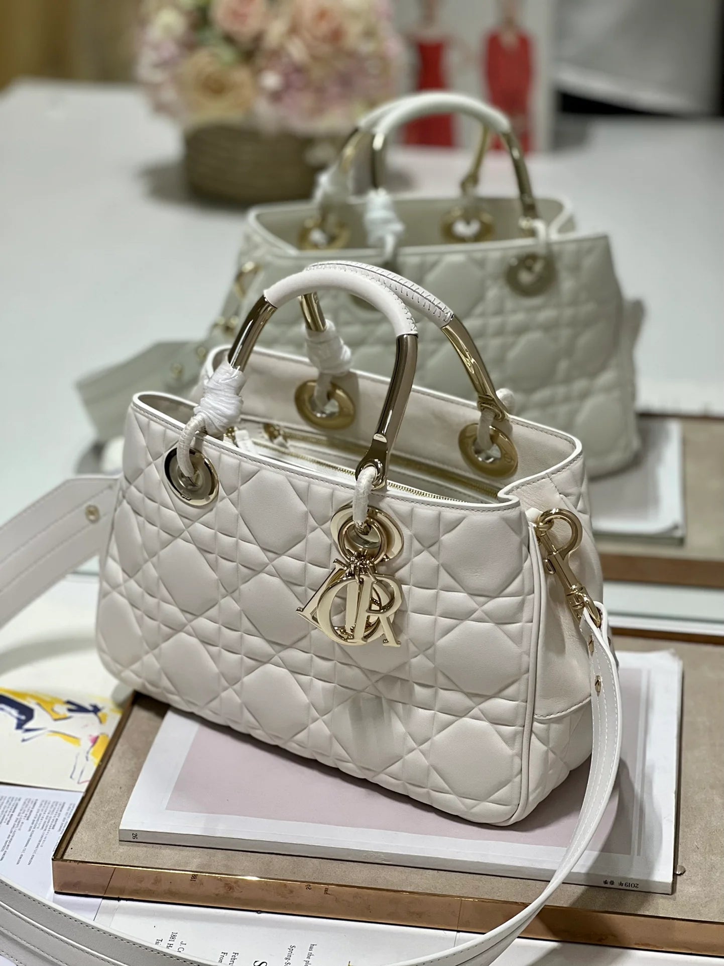 DIOR THE LADY 95 22 BAG