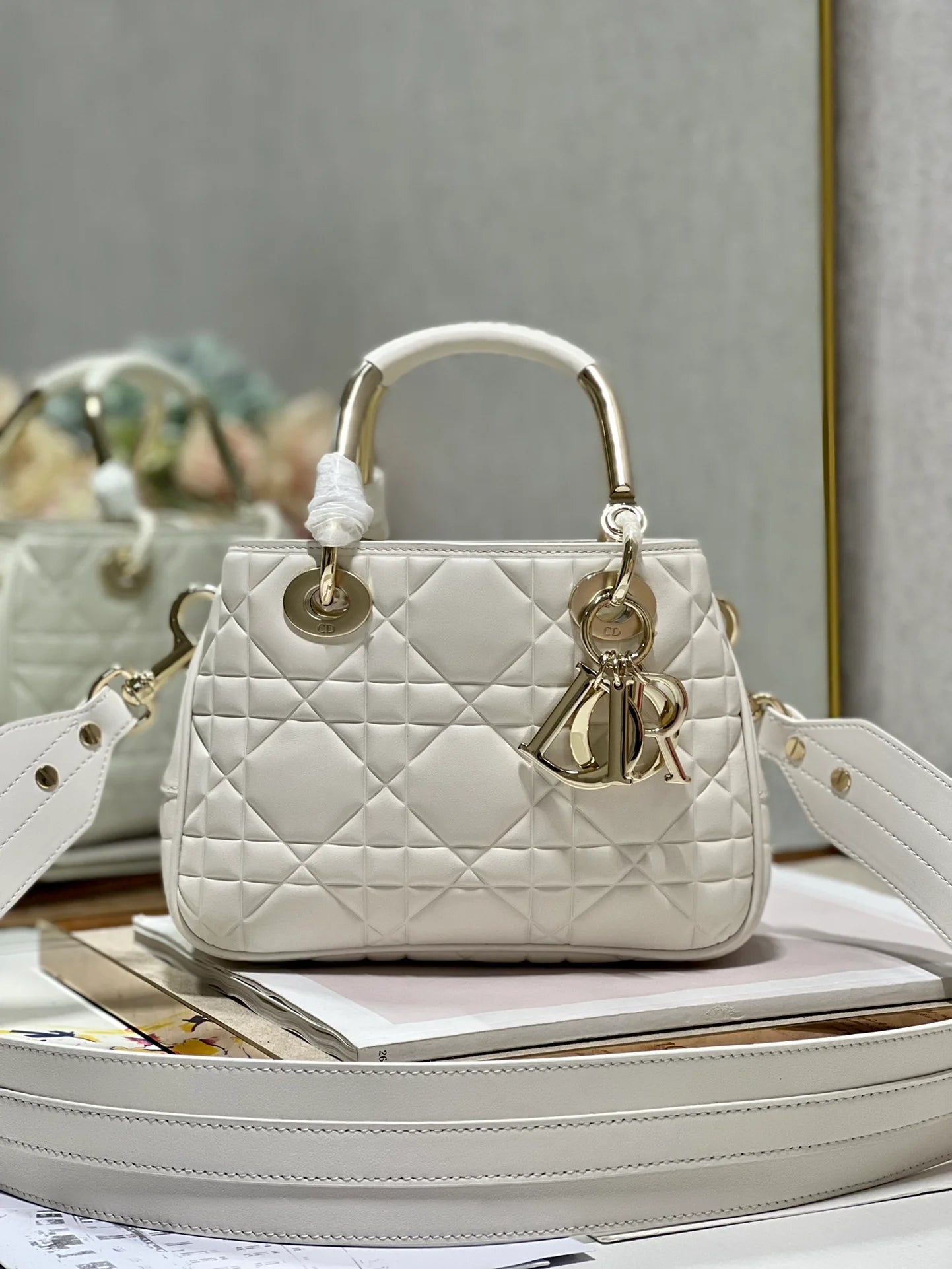DIOR THE LADY 95 22 BAG