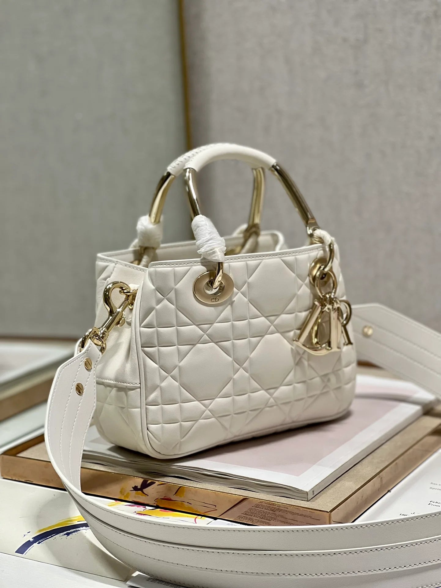 DIOR THE LADY 95 22 BAG