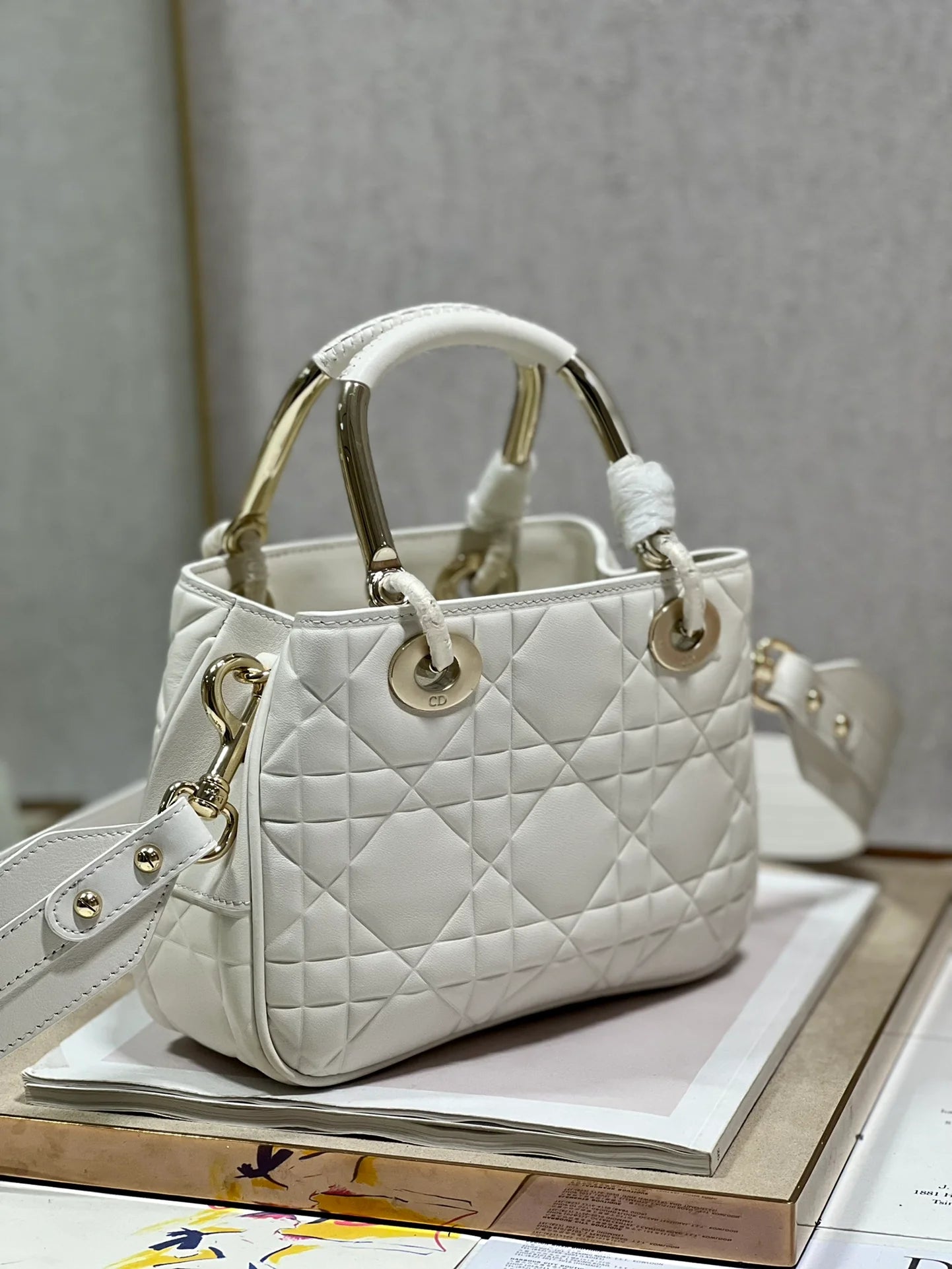DIOR THE LADY 95 22 BAG