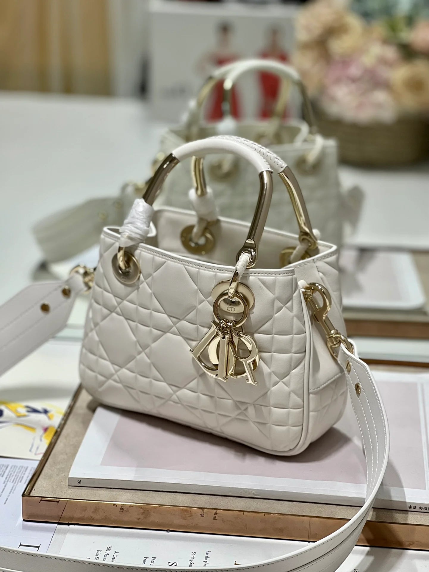 DIOR THE LADY 95 22 BAG