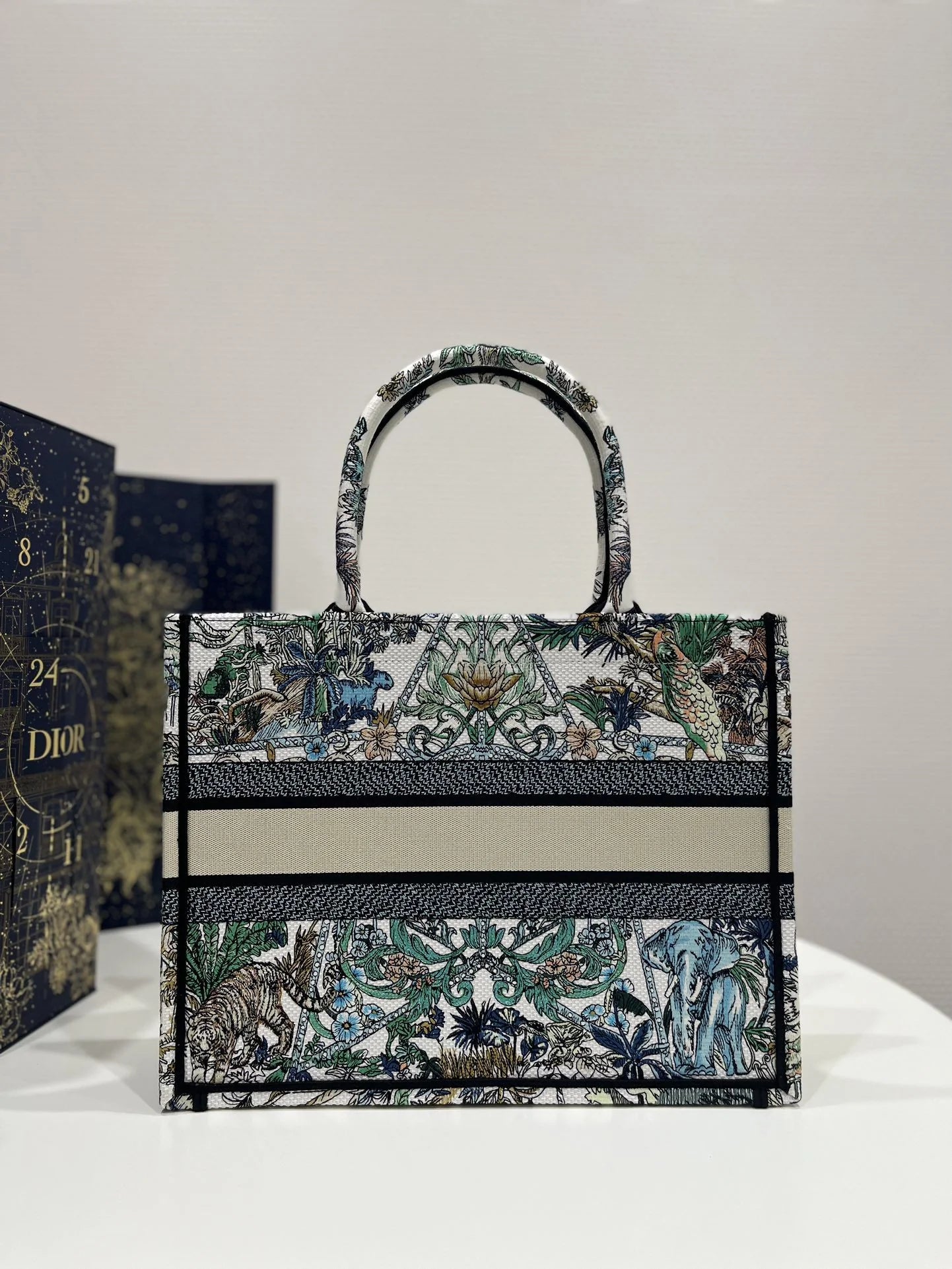 DIOR TOTE BAG