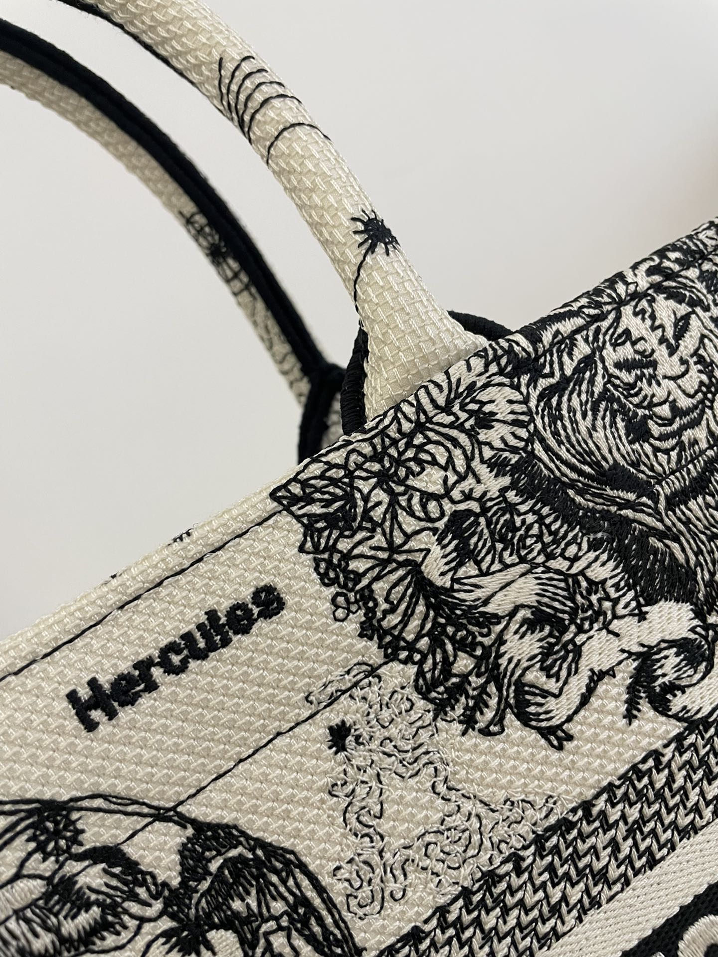 DIOR TOTE BAG