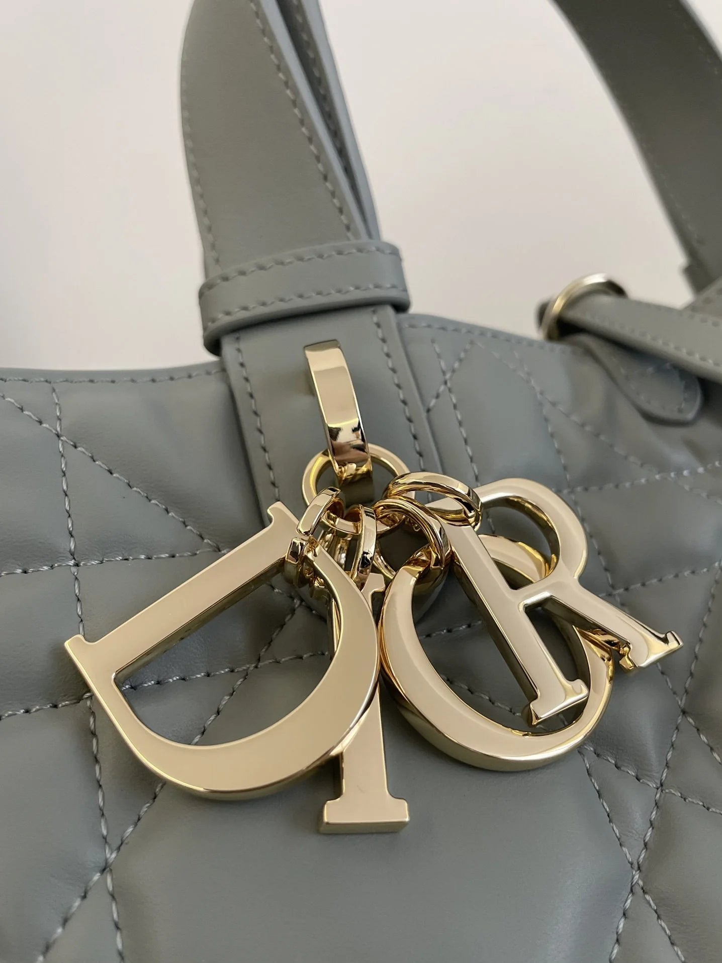 DIOR TOUJOURS BAG
