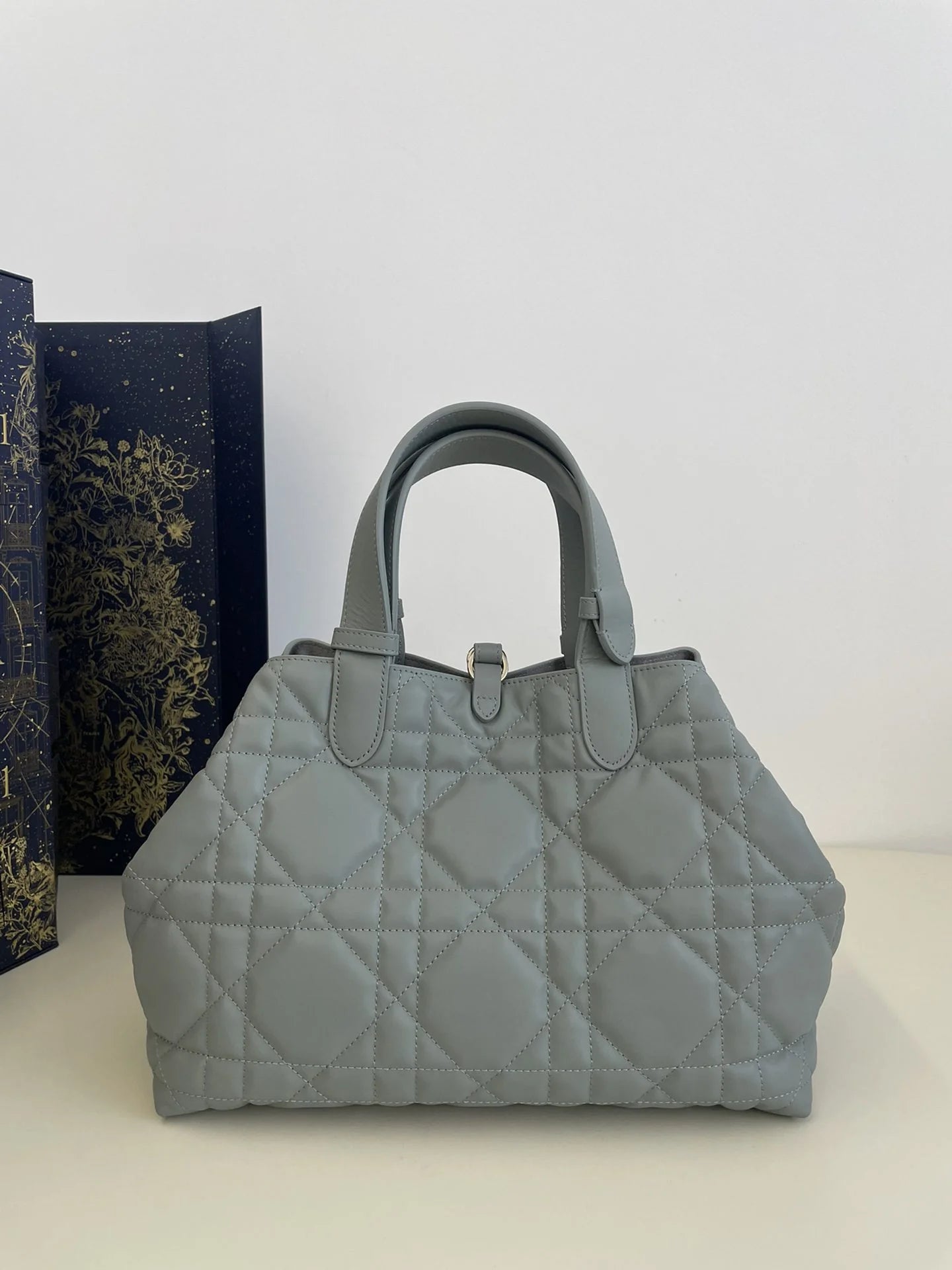 DIOR TOUJOURS BAG
