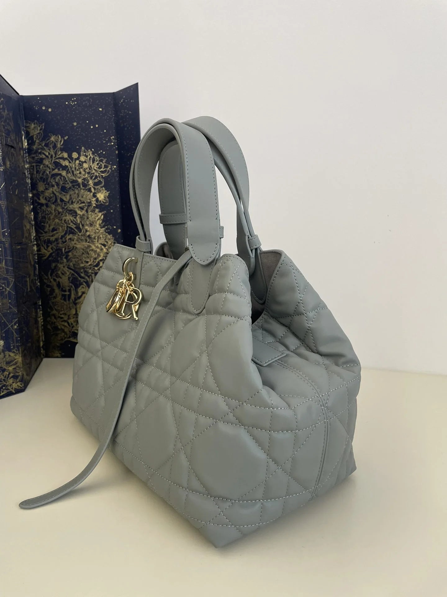 DIOR TOUJOURS BAG