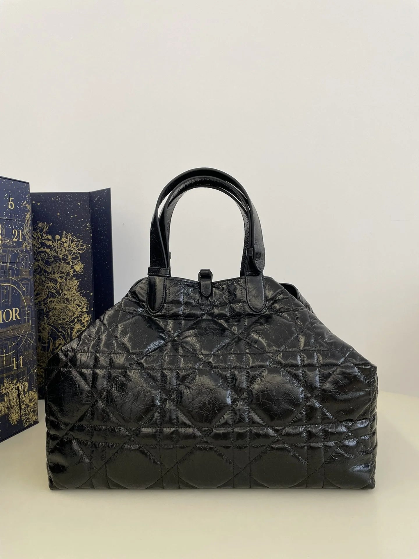 DIOR TOUJOURS BAG