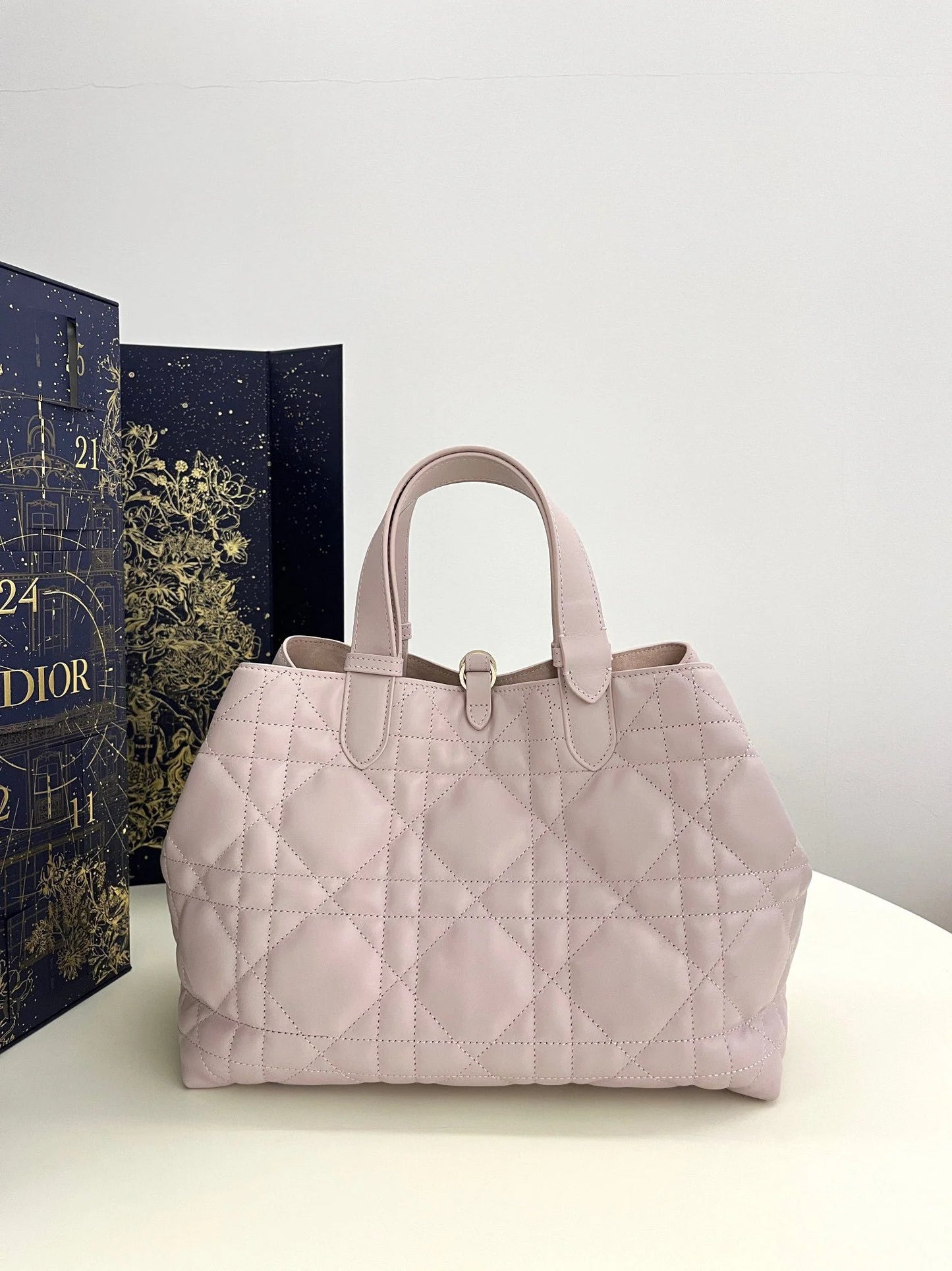 DIOR TOUJOURS BAG