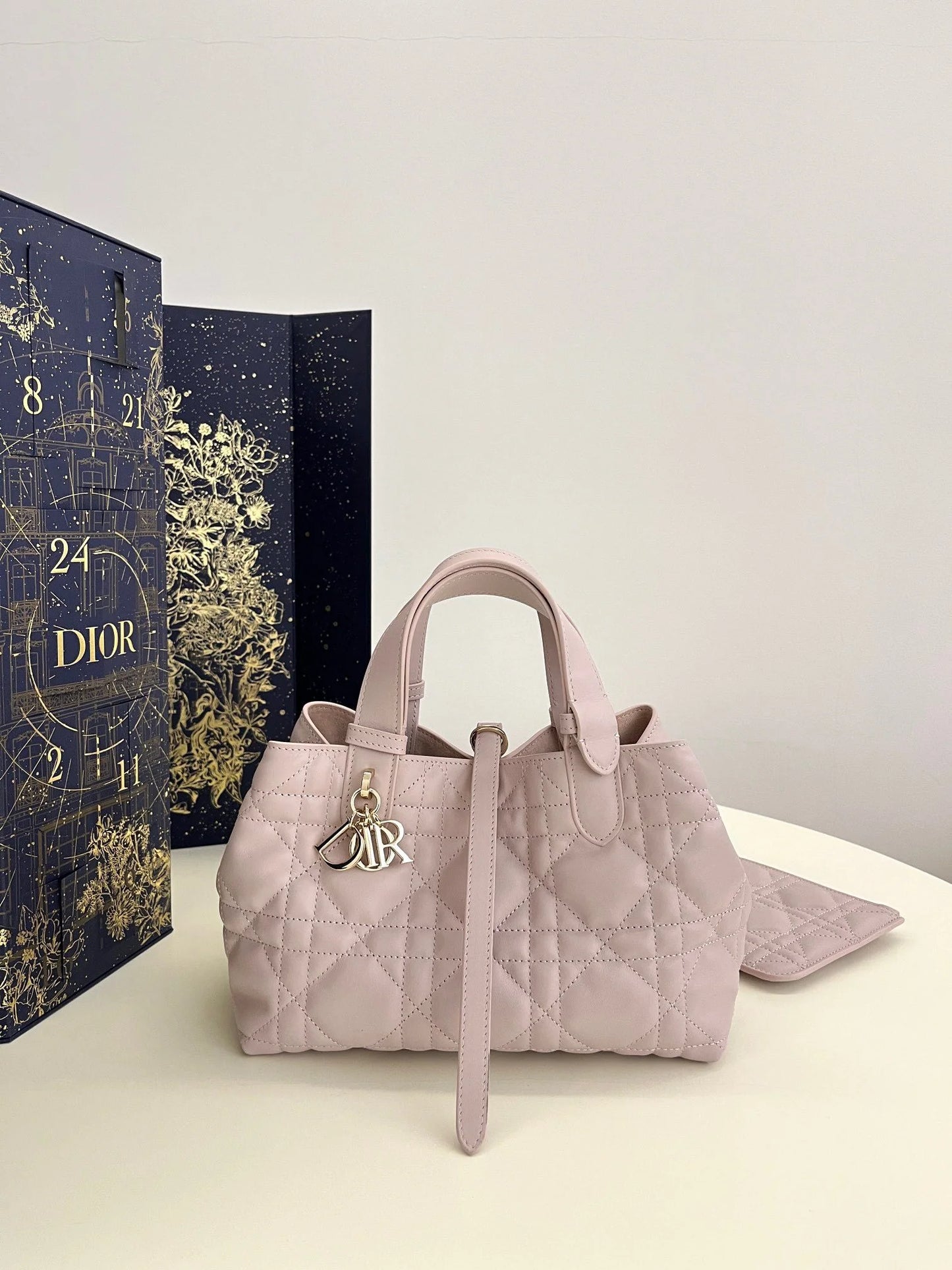 DIOR TOUJOURS BAG