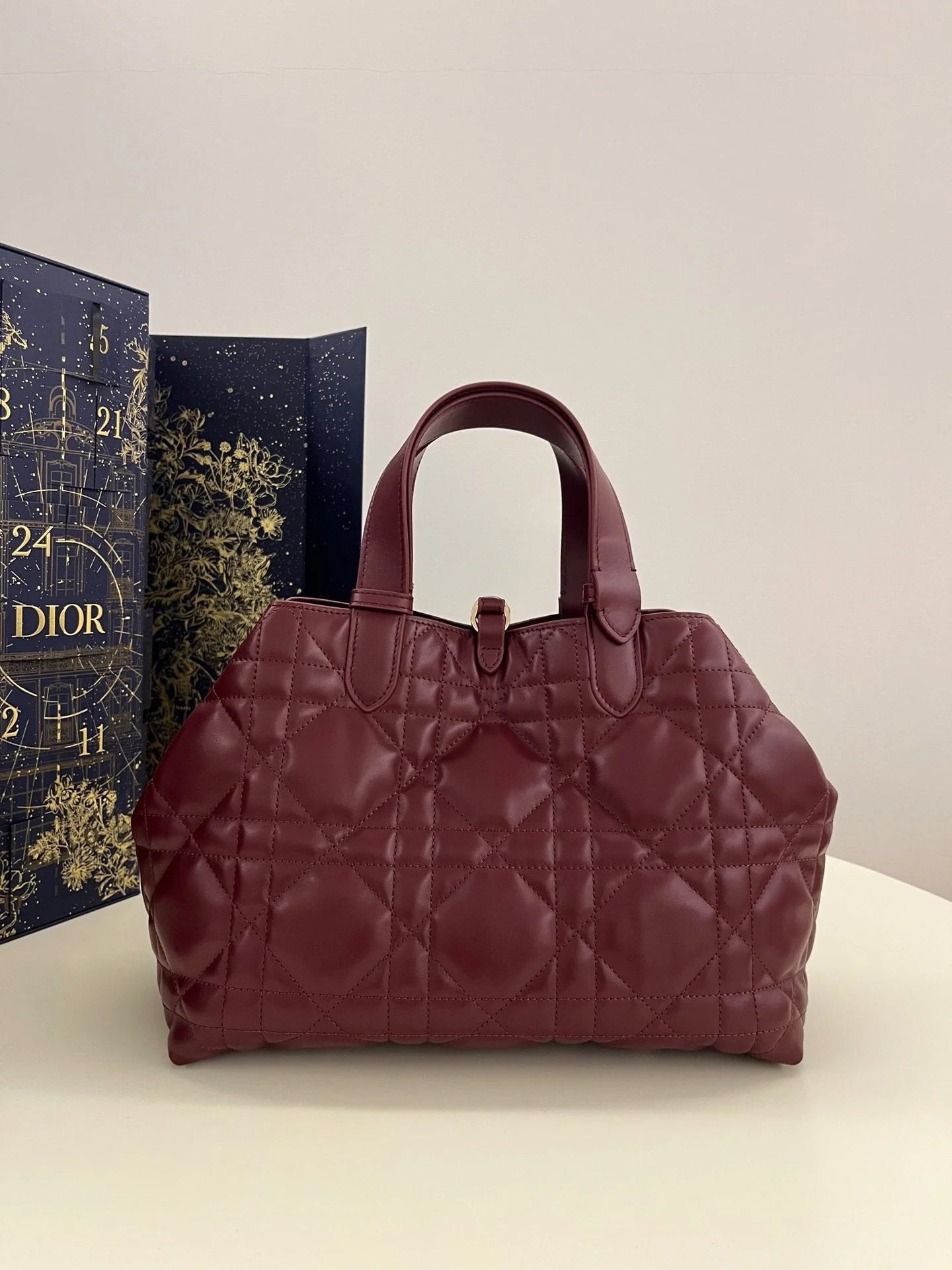 DIOR TOUJOURS BAG