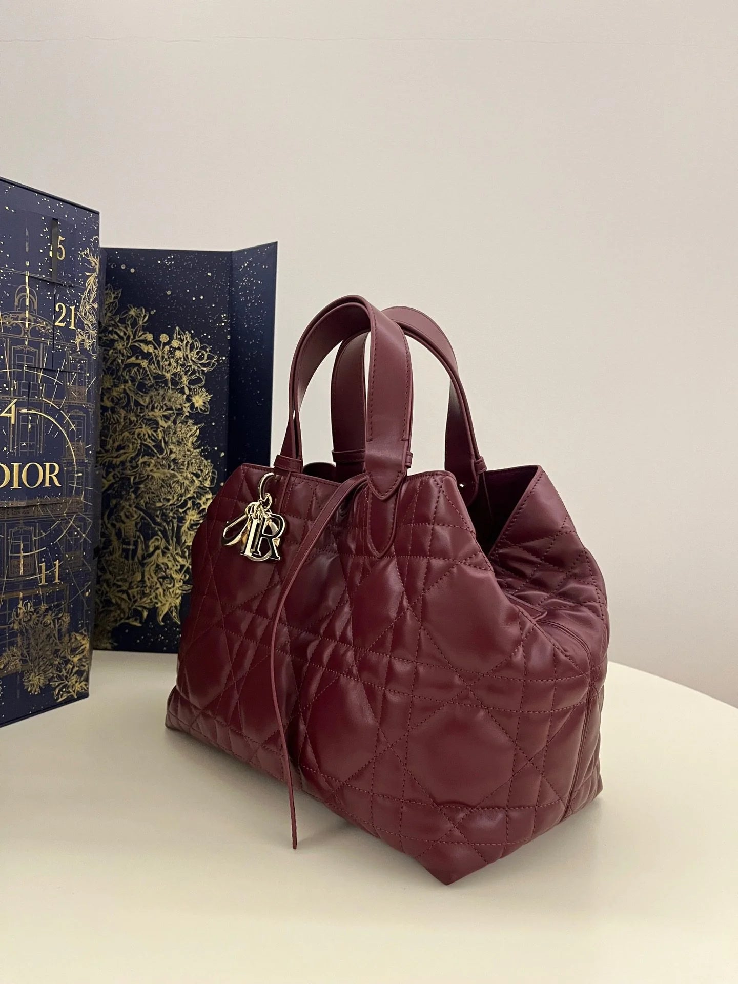 DIOR TOUJOURS BAG