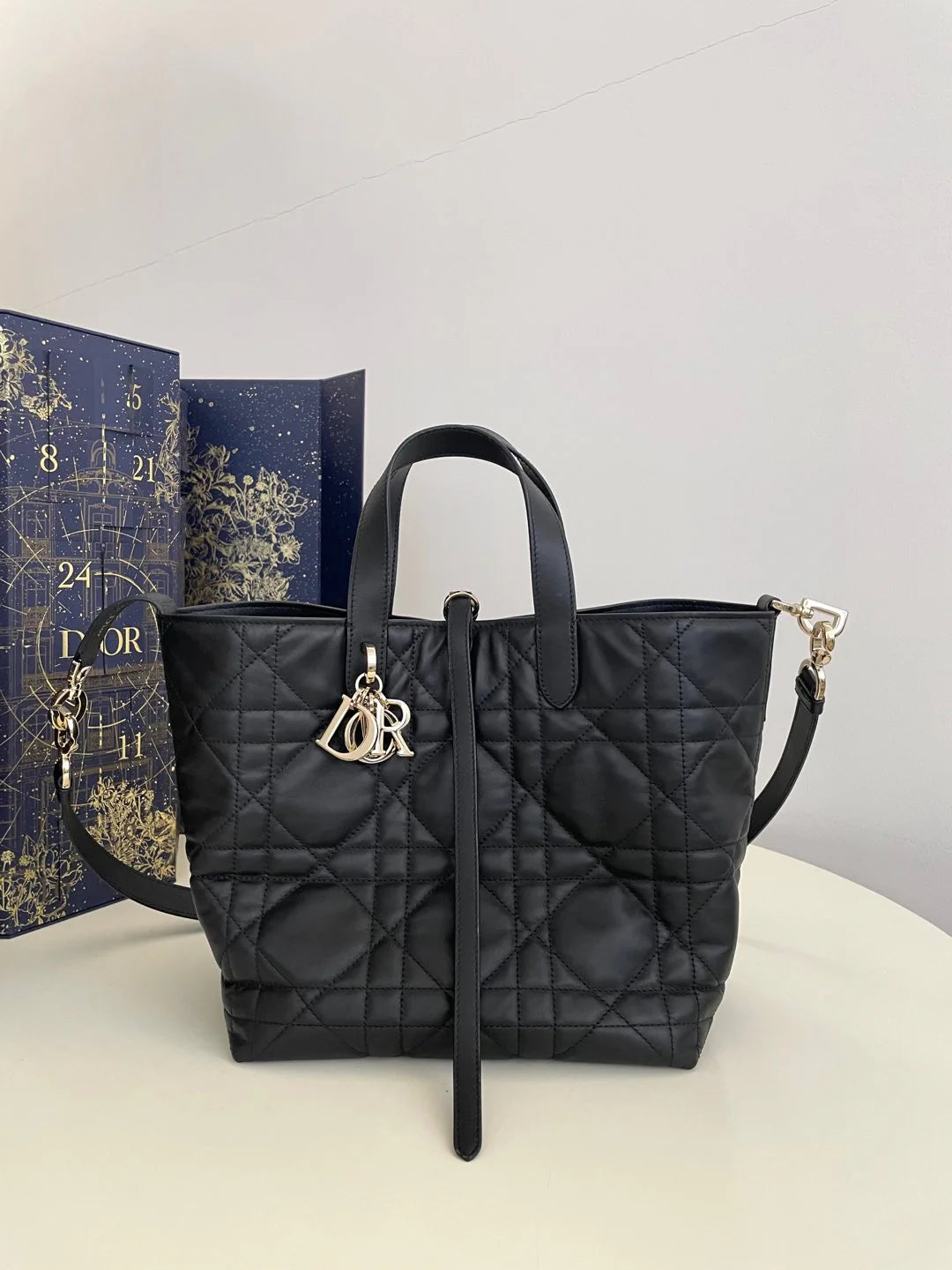 DIOR TOUJOURS BAG