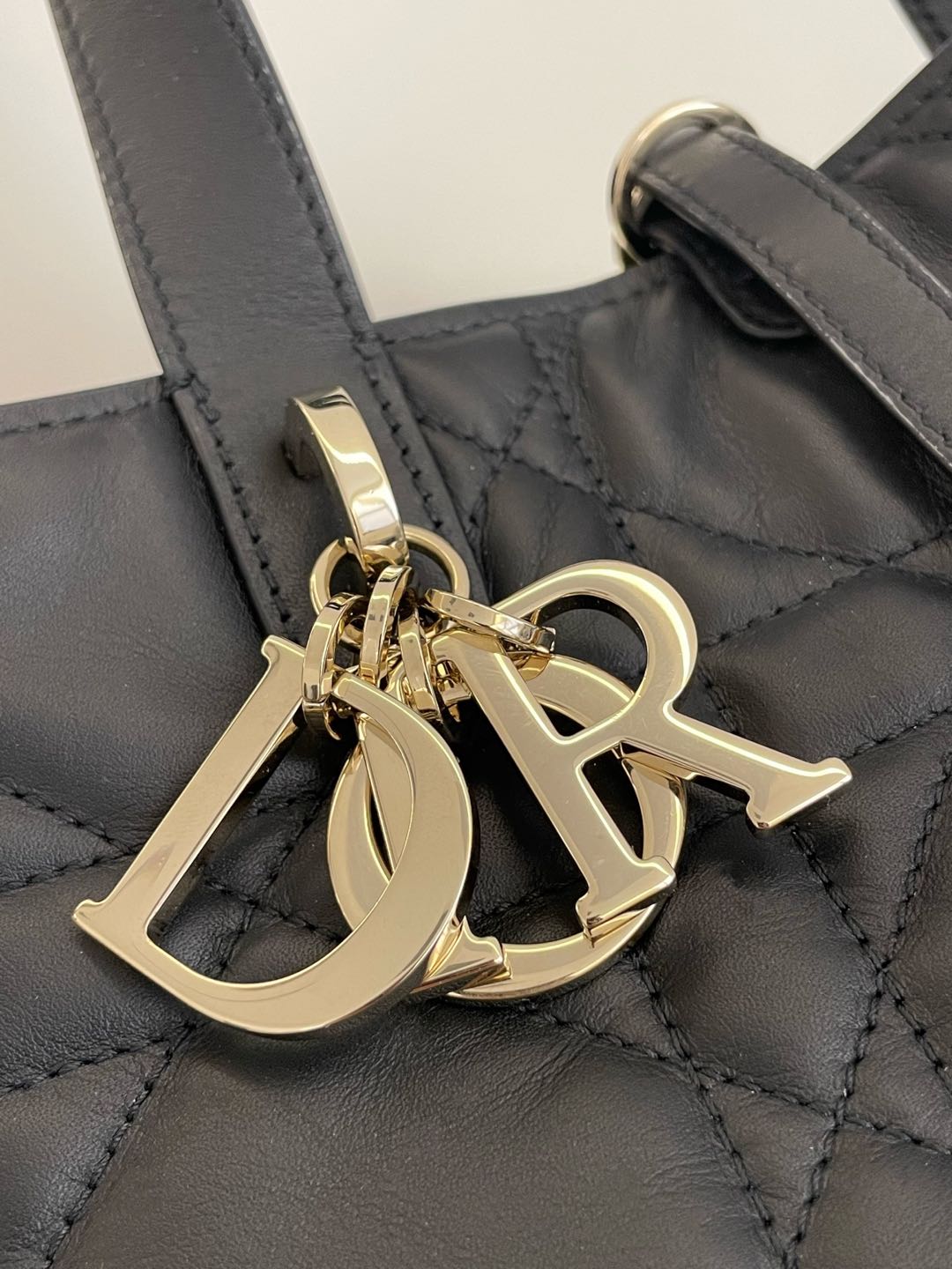 DIOR TOUJOURS BAG