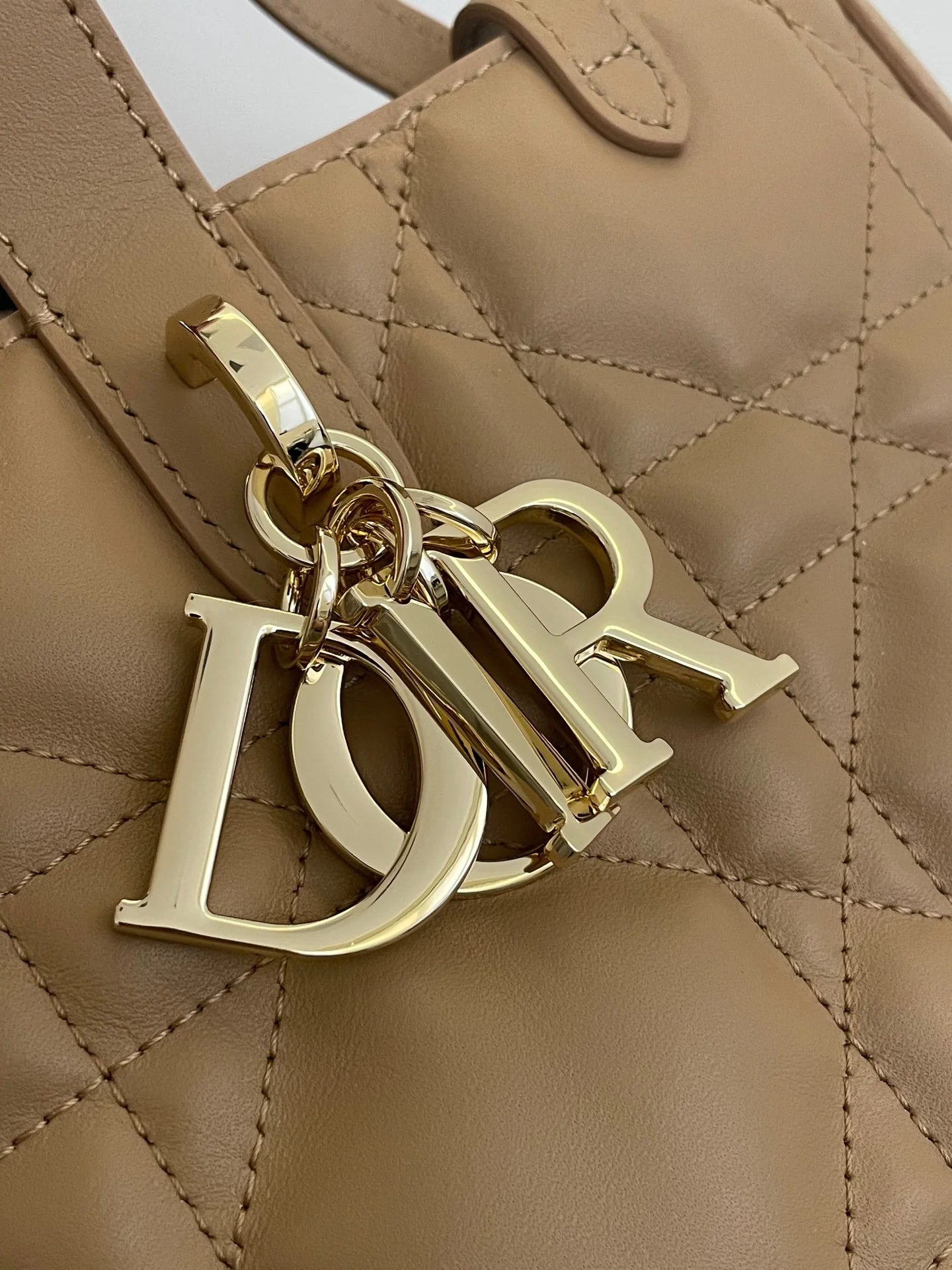 DIOR TOUJOURS BAG